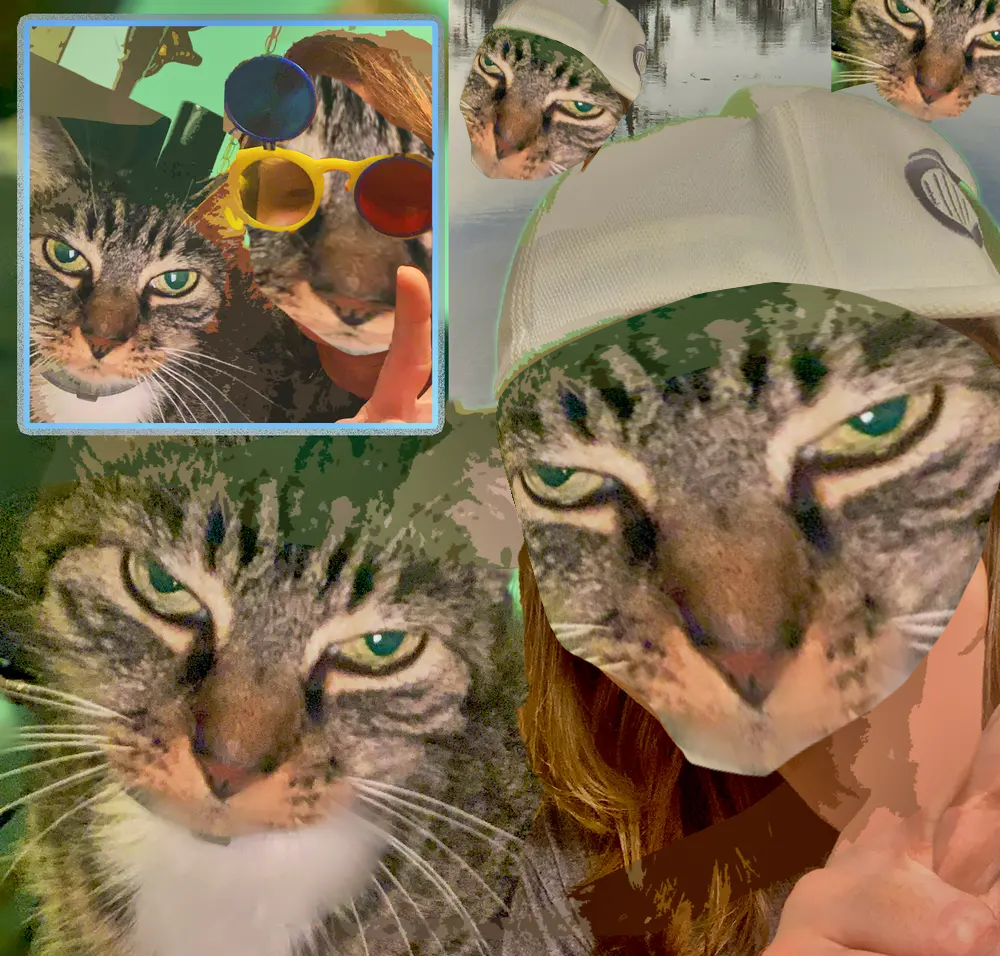 catpictureohh.png
