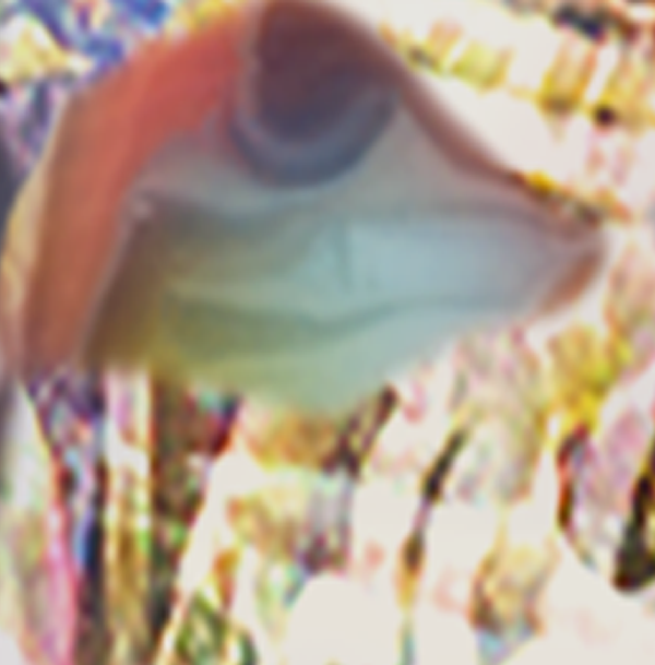 momsspaghetti0z5a.png