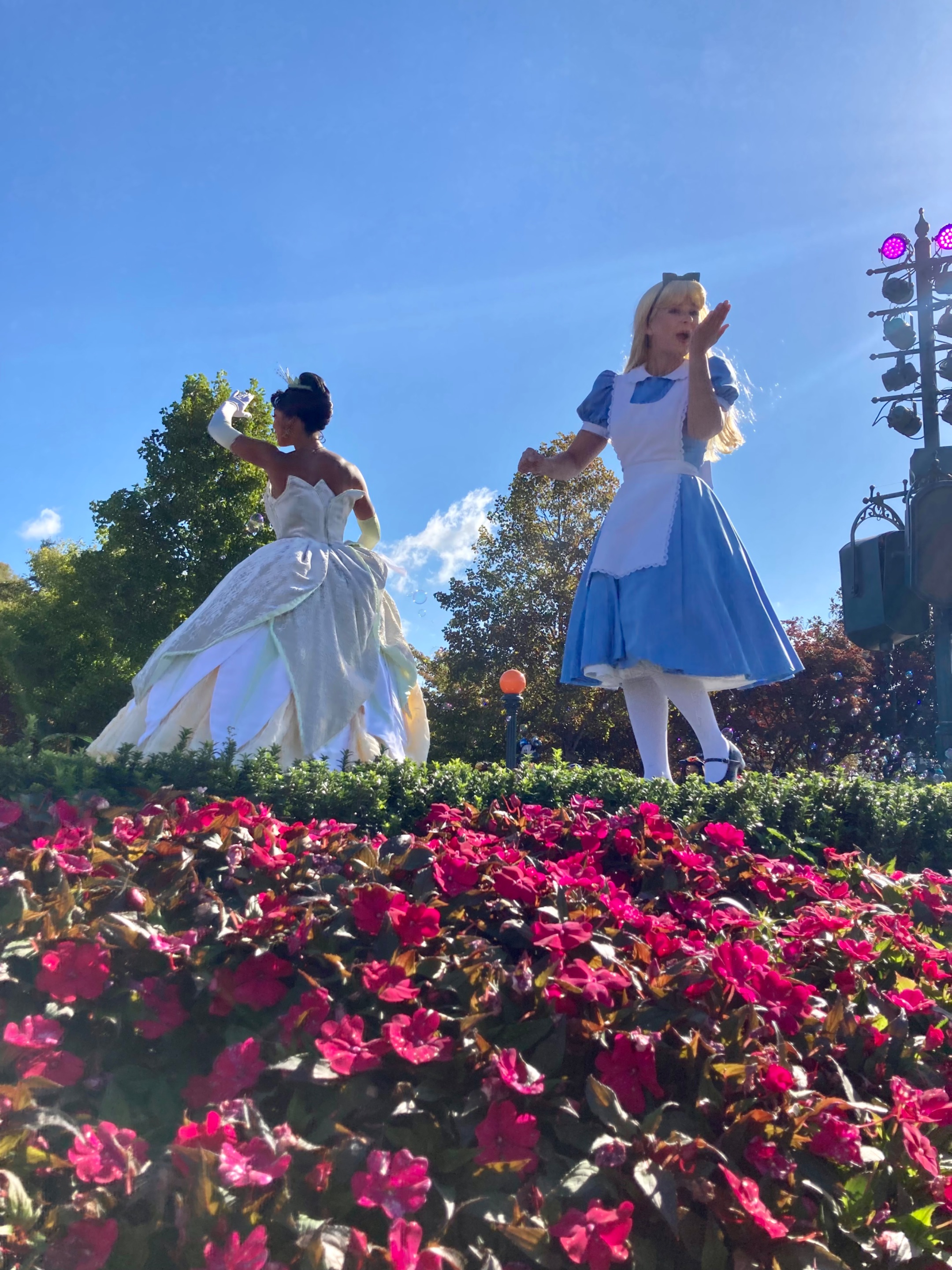 IMG_0988.jpeg