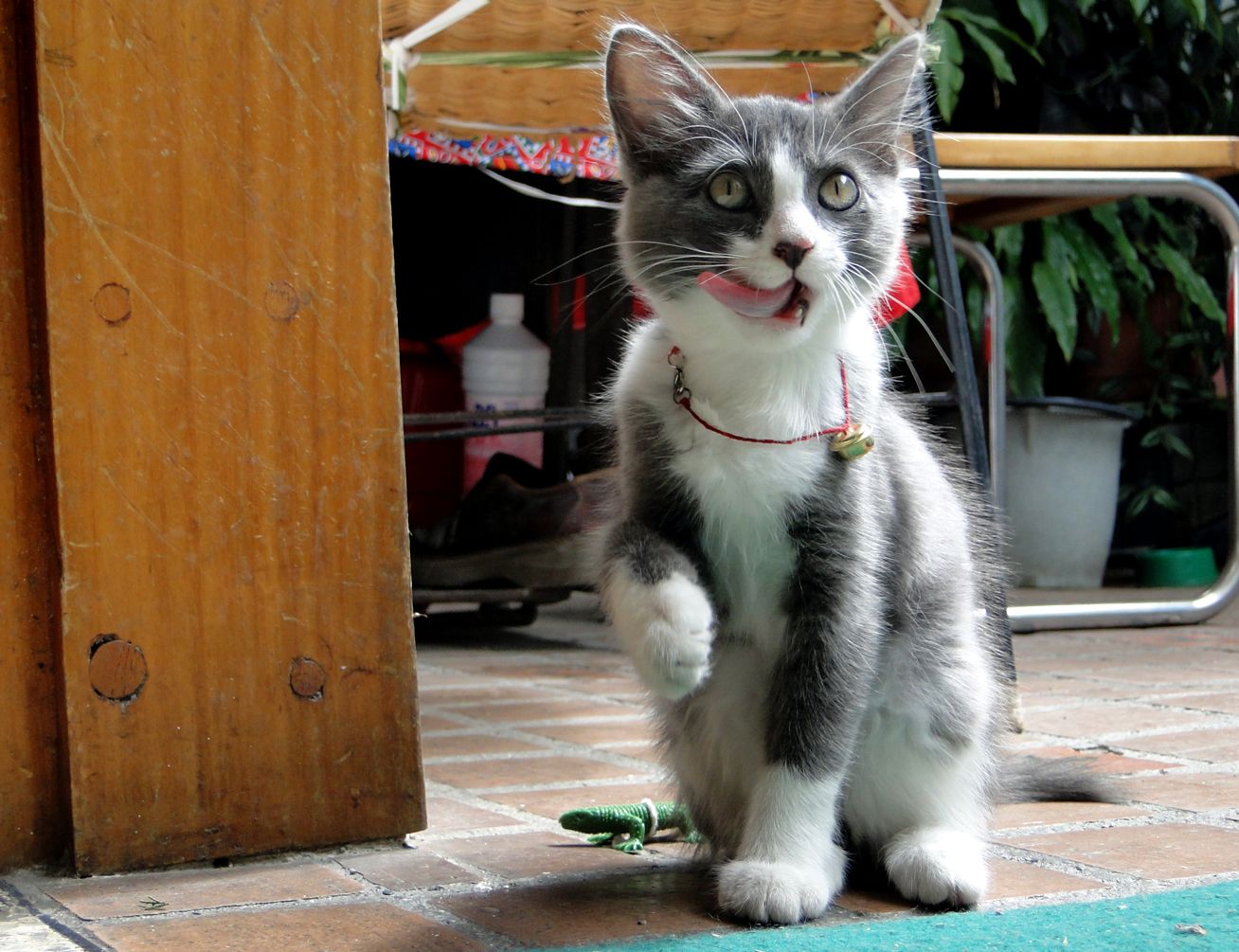 DSC04855.JPG