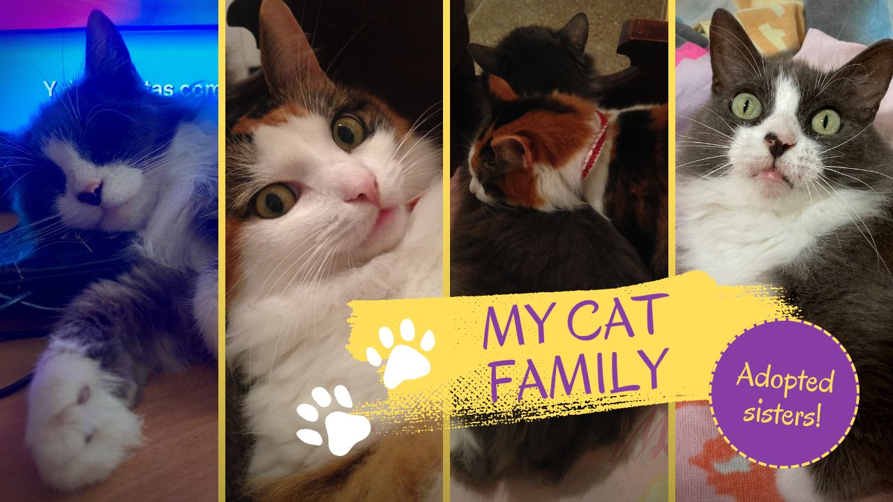Yellow and Purple Photo Collage Handmade Ideas YouTube Thumbnail.jpg