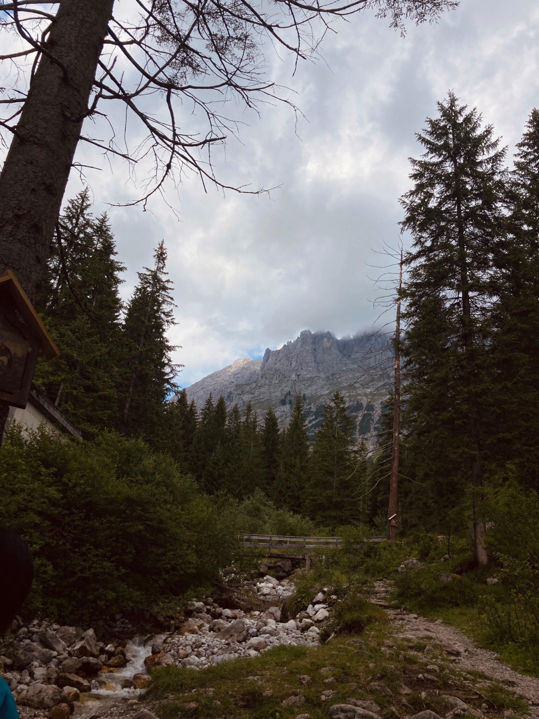 IMG_6634.jpeg