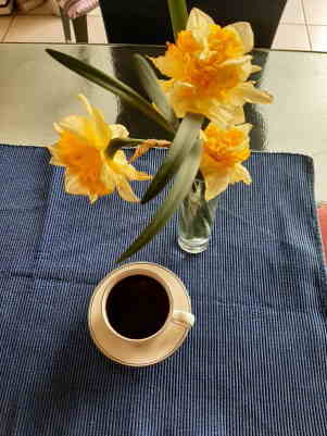 Kaffeetasse 1.0.jpg