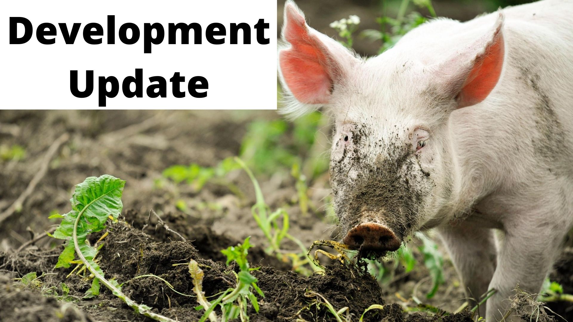 Development Update.jpg