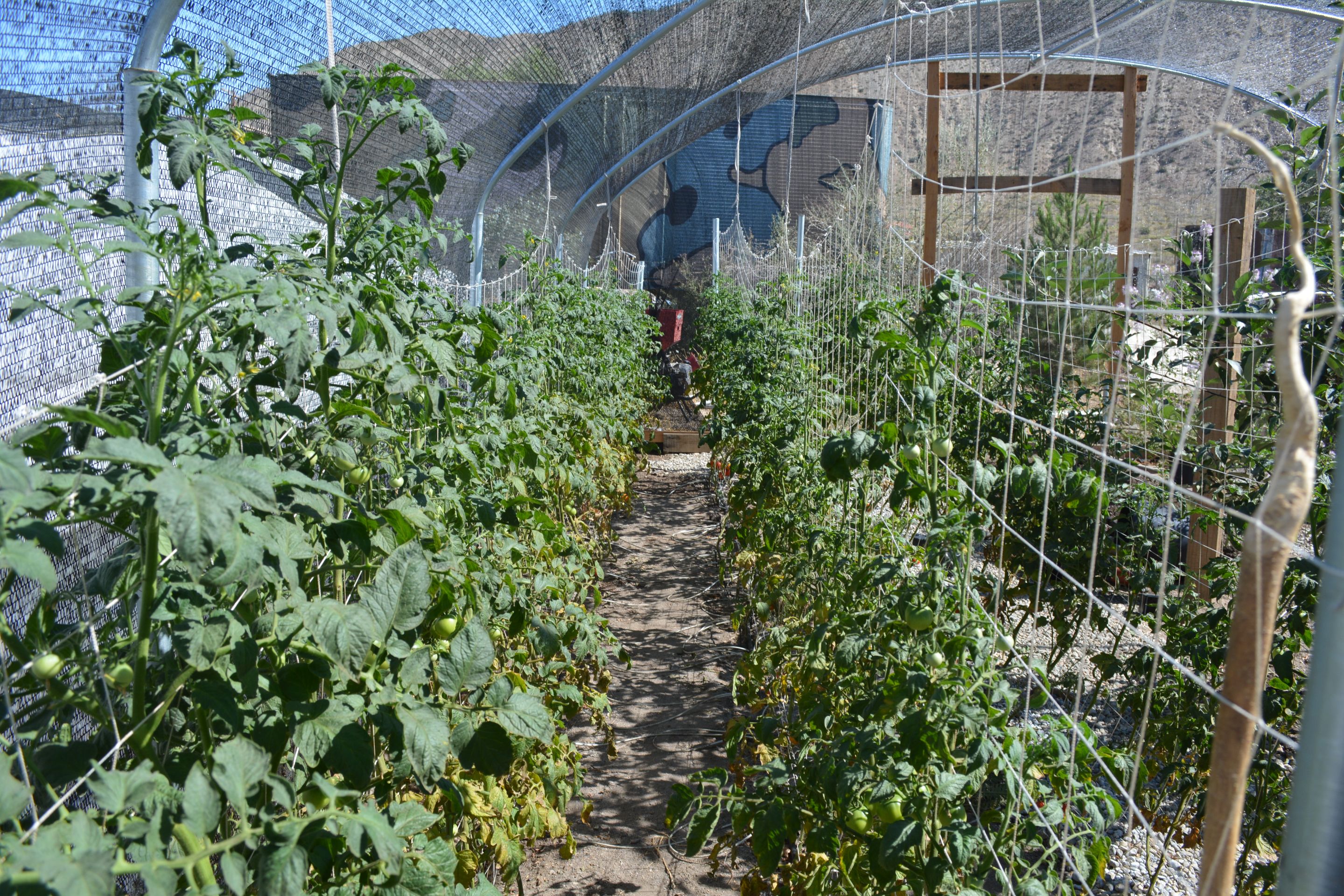 DSC_0018.JPG