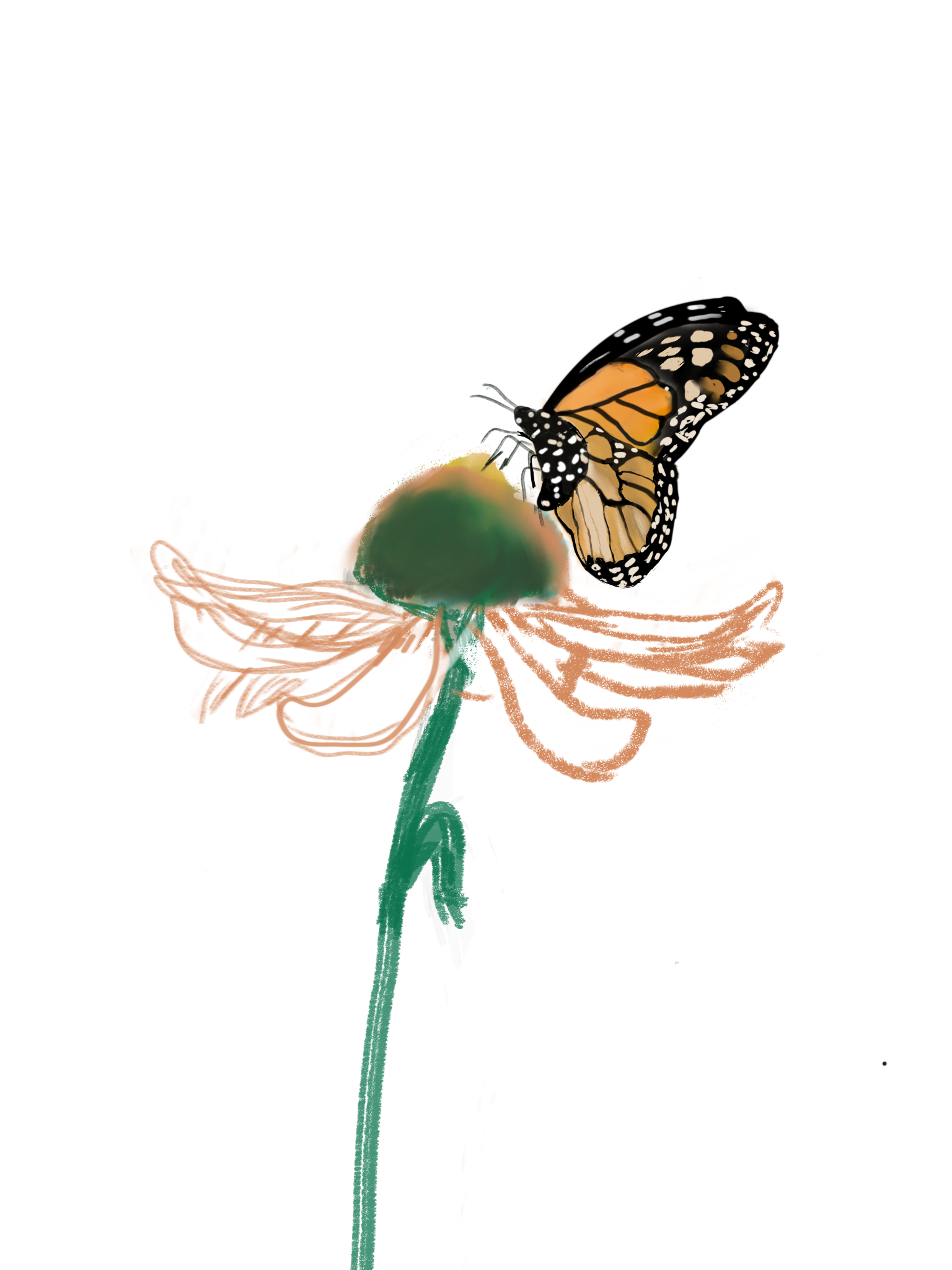 23x1atYyjrhx2Xa1f7jUQTRy94CwXVb3XvoxP29pJAtsUt95a1jfYFKSchERdg24NLyac.png