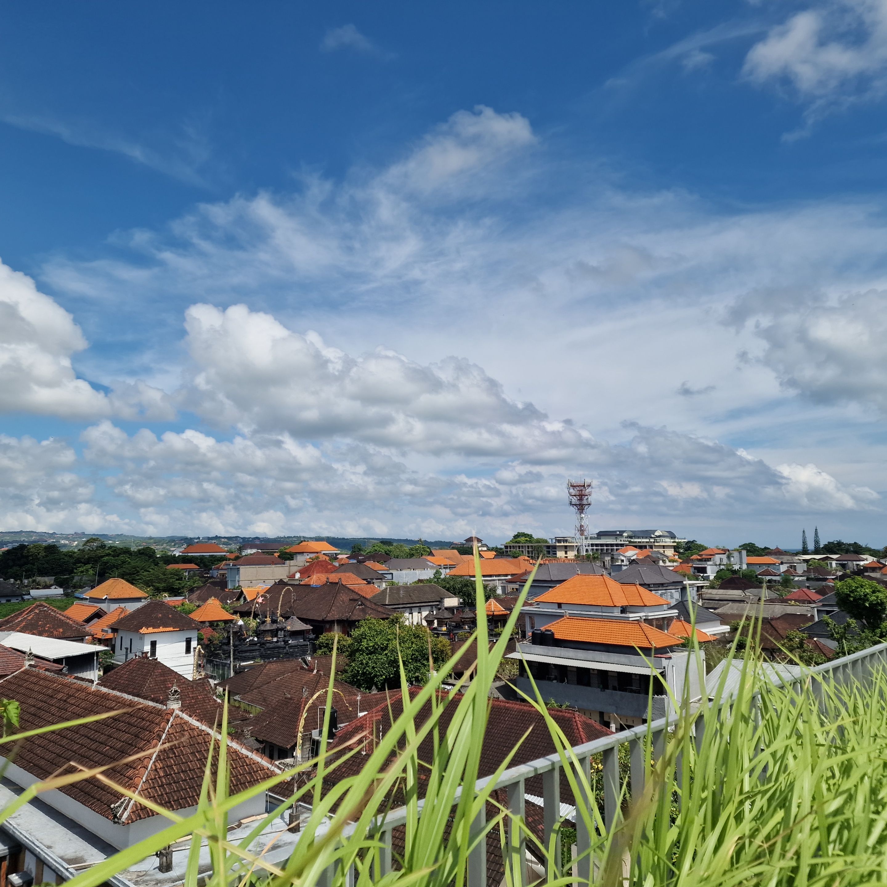 watermark_dach-1.jpg