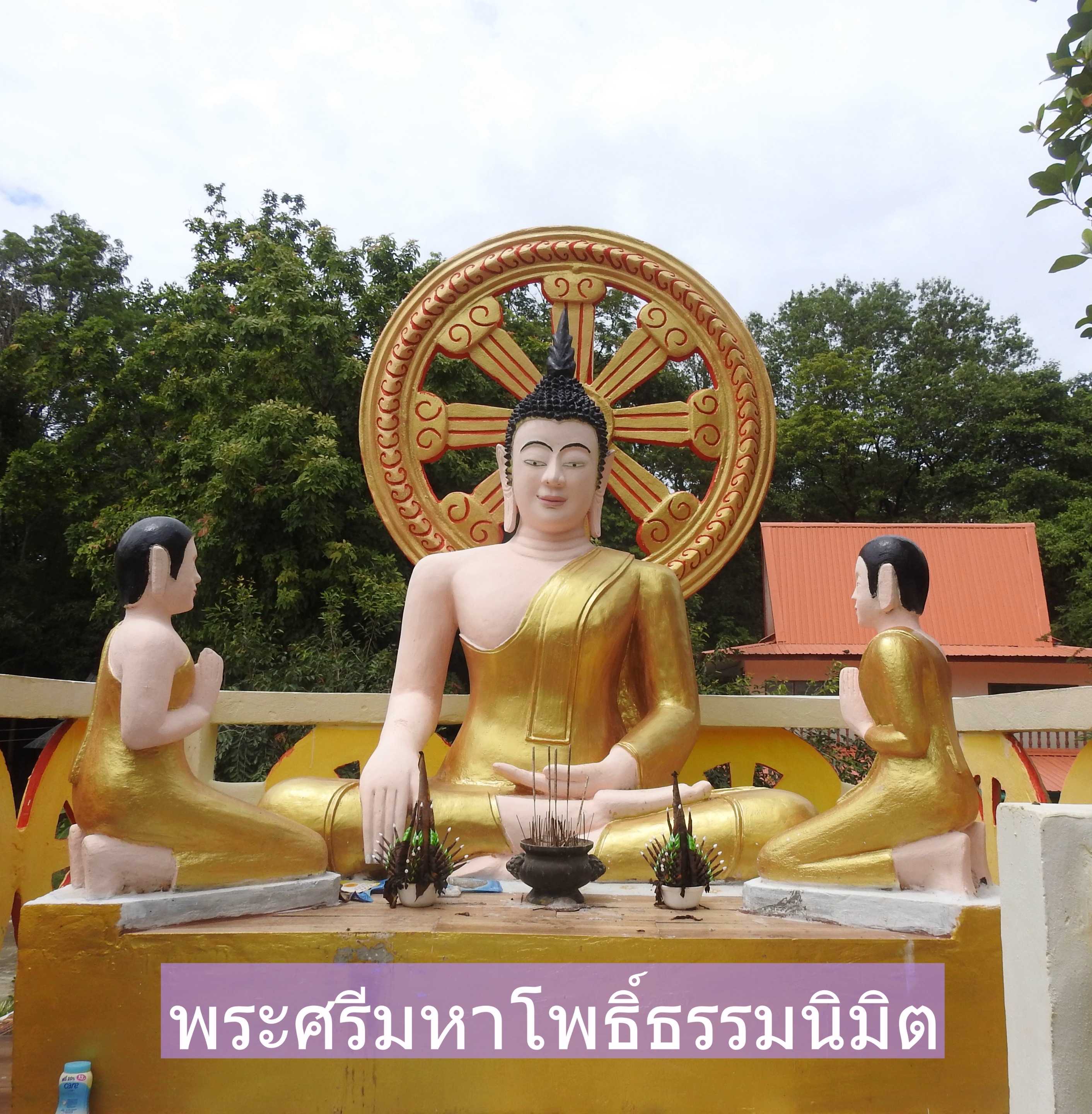 DSCN2103.JPG