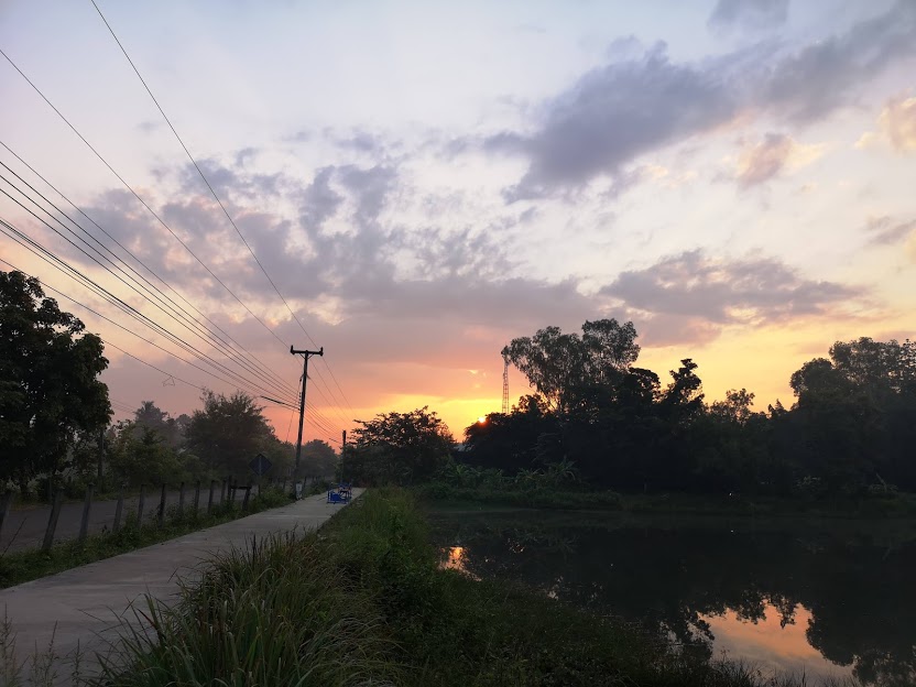 IMG_20181008_061309.jpg