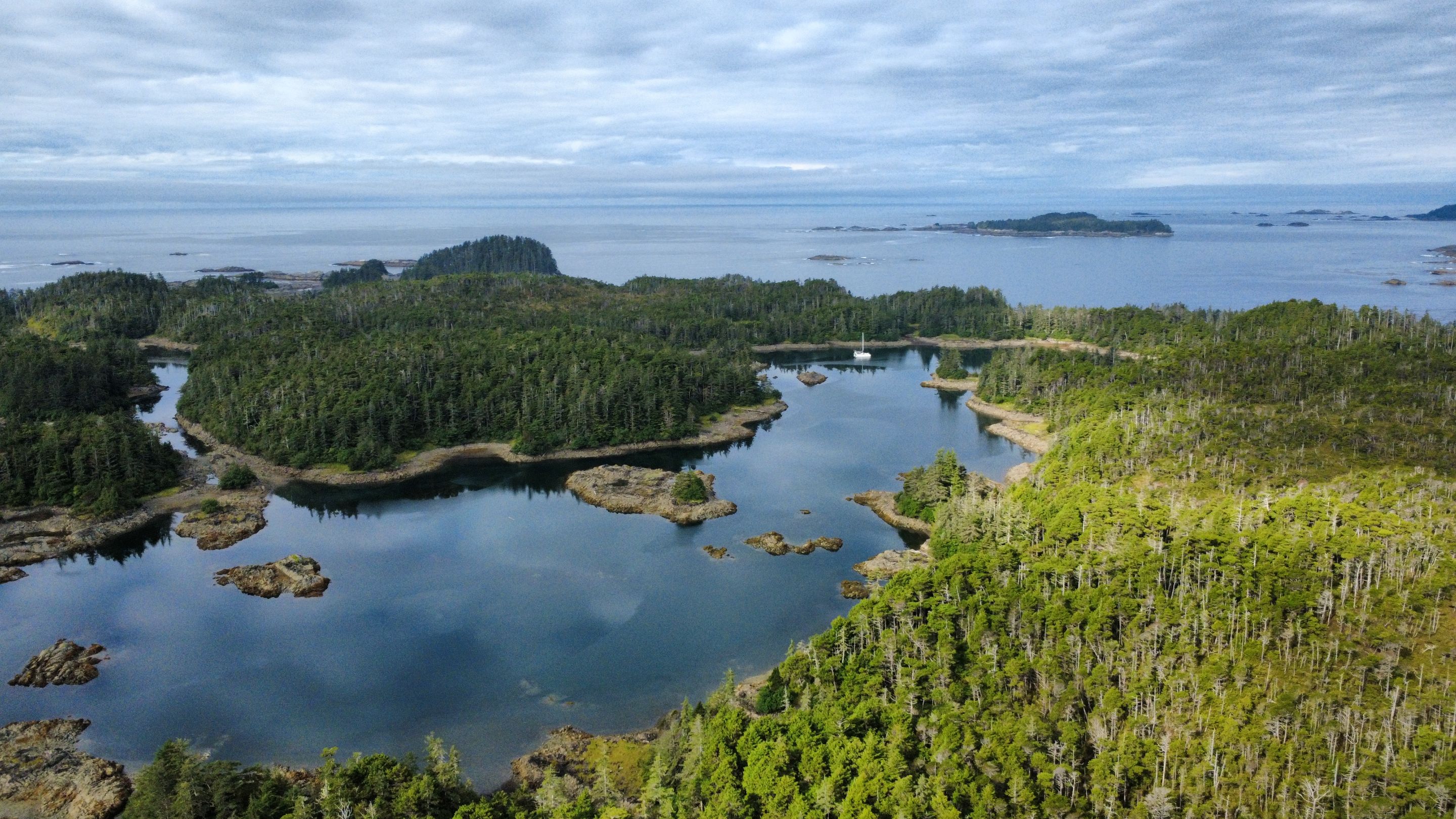 dji_fly_20250823_100140_655_1755972151331_photo_optimized.jpg