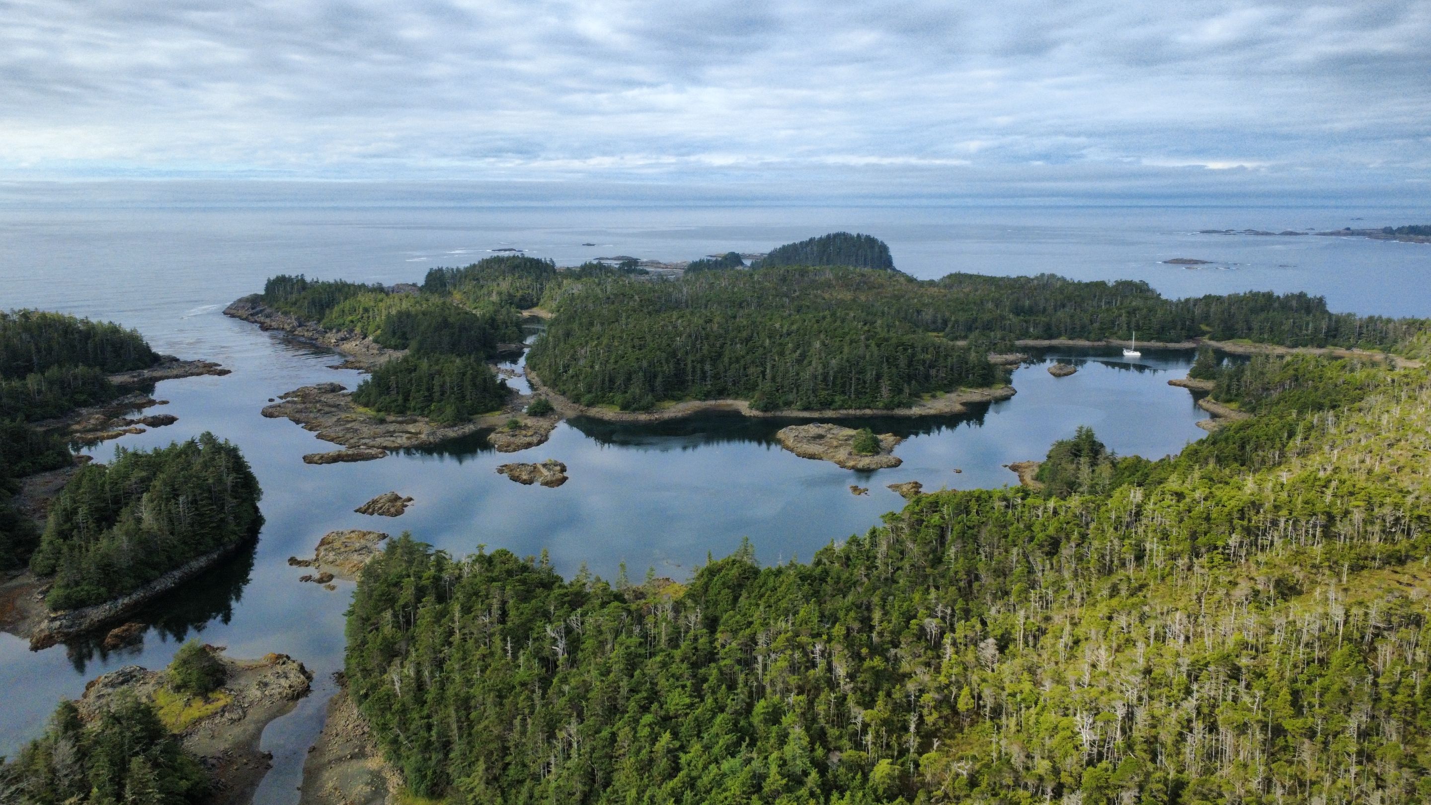 dji_fly_20250823_100154_656_1755972140137_photo_optimized.jpg