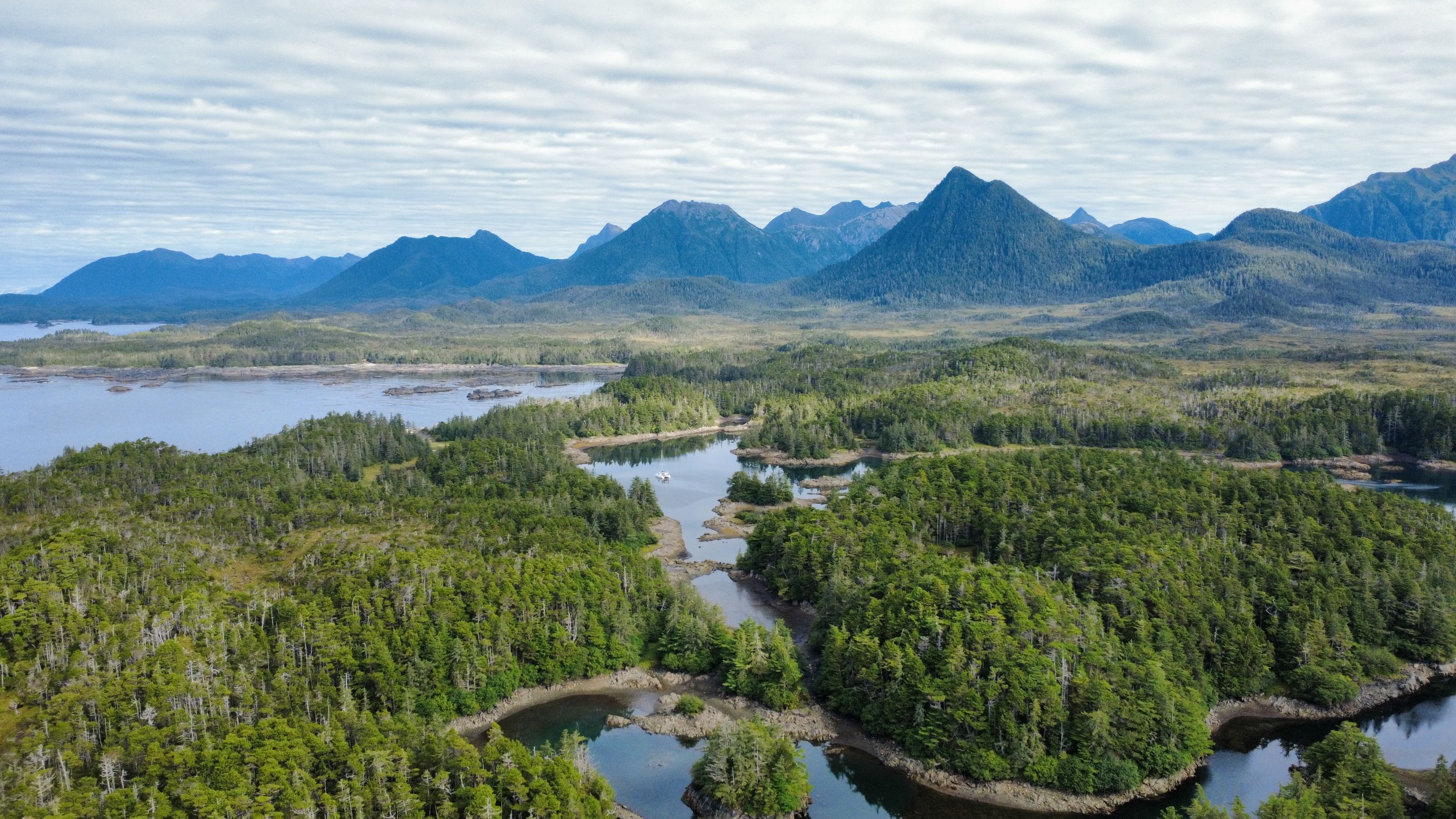 dji_fly_20250823_100414_659_1755972632255_photo_optimized.jpg
