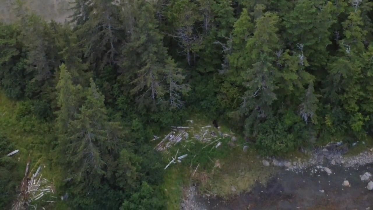 VideoCapture_20250904-140251.jpg