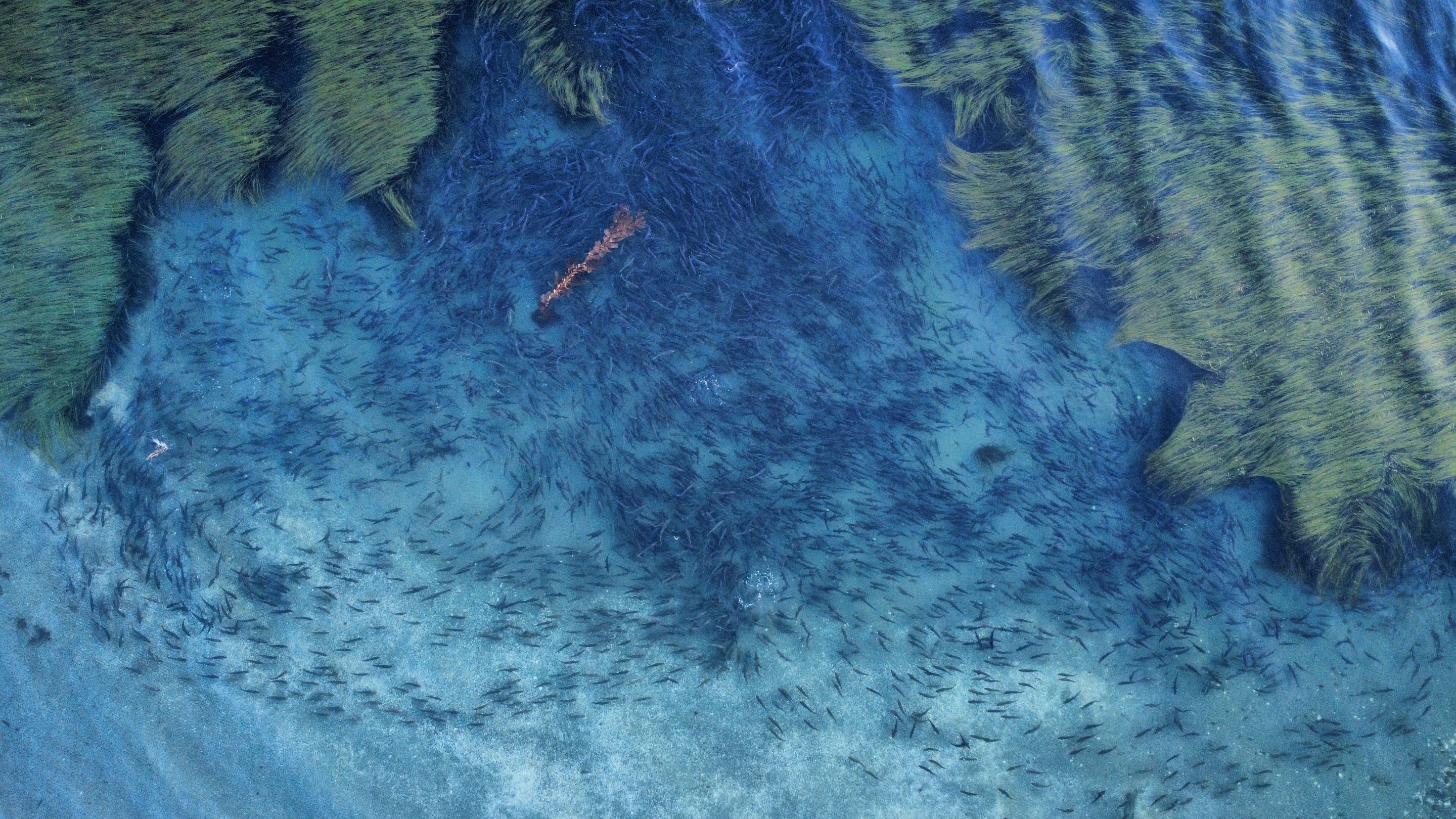 dji_fly_20250824_195718_705_1756094247725_photo_optimized.jpg