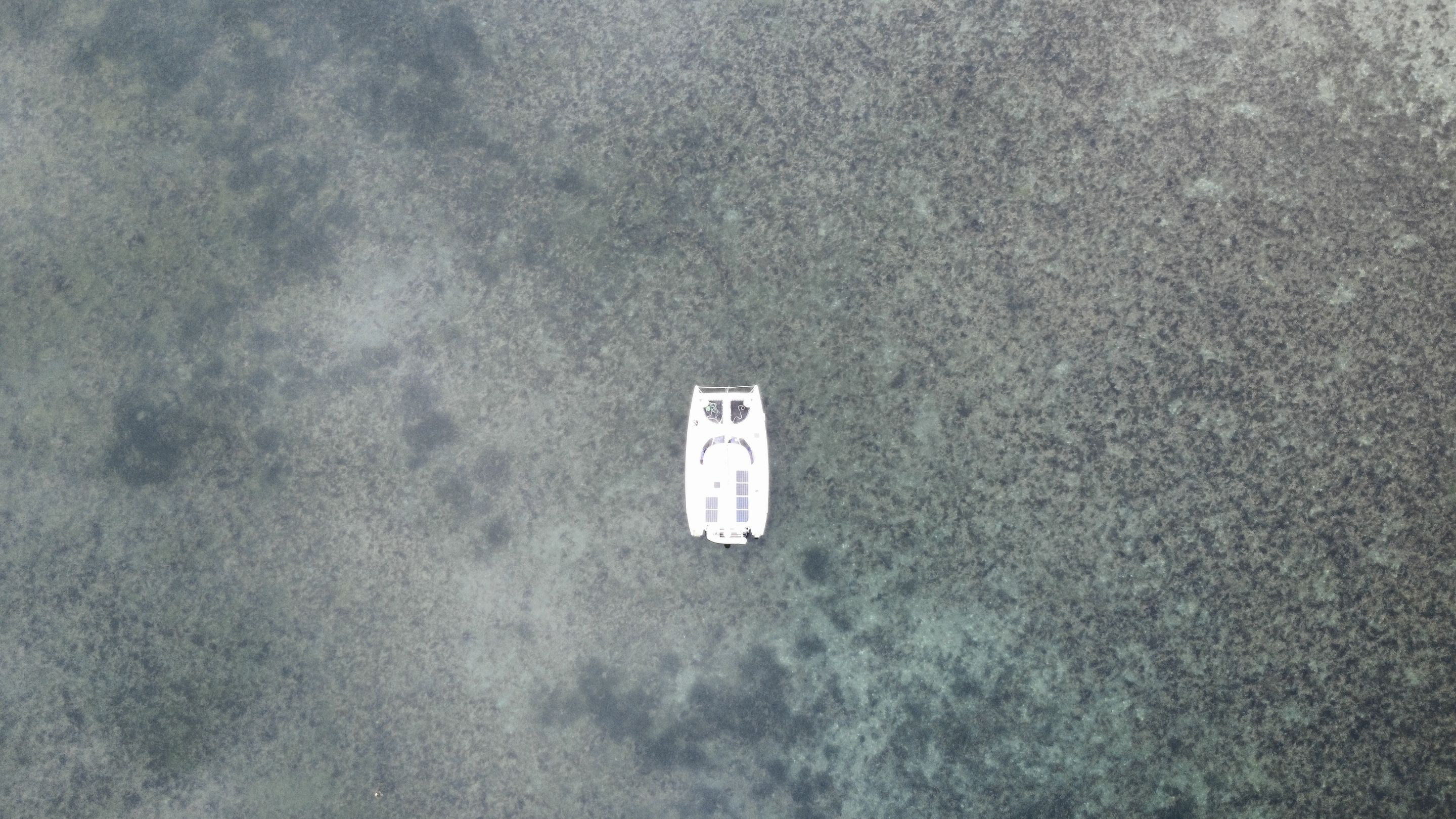 dji_fly_20250713_092922_176_1752427775959_photo_optimized.jpg