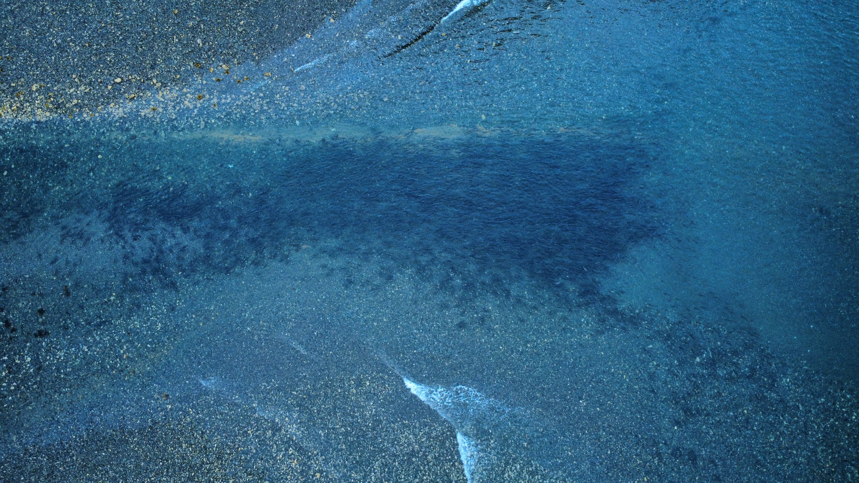 dji_fly_20250823_194550_686_1756007161913_photo_optimized.jpg