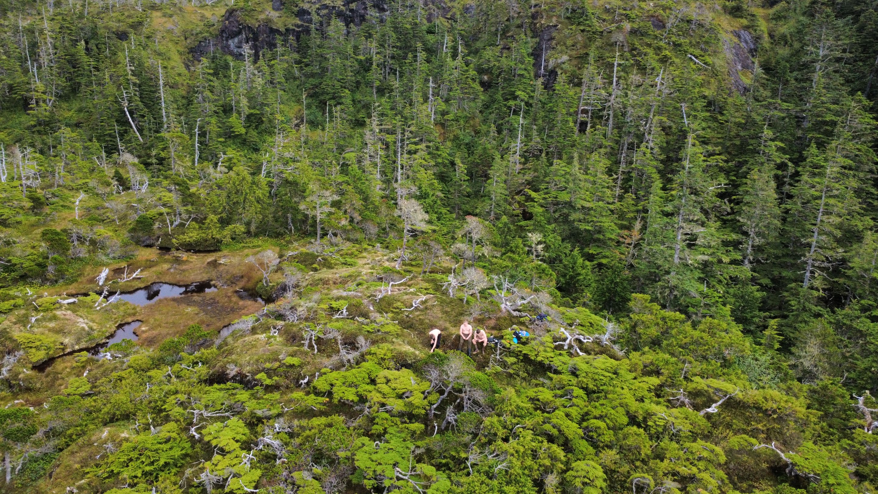 dji_fly_20250820_151314_647_1755731605299_photo_optimized.jpg