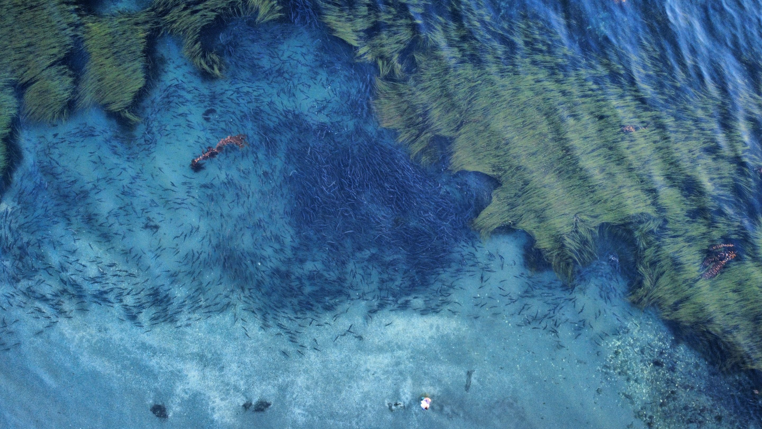 dji_fly_20250824_195636_704_1756094253106_photo_optimized.jpg