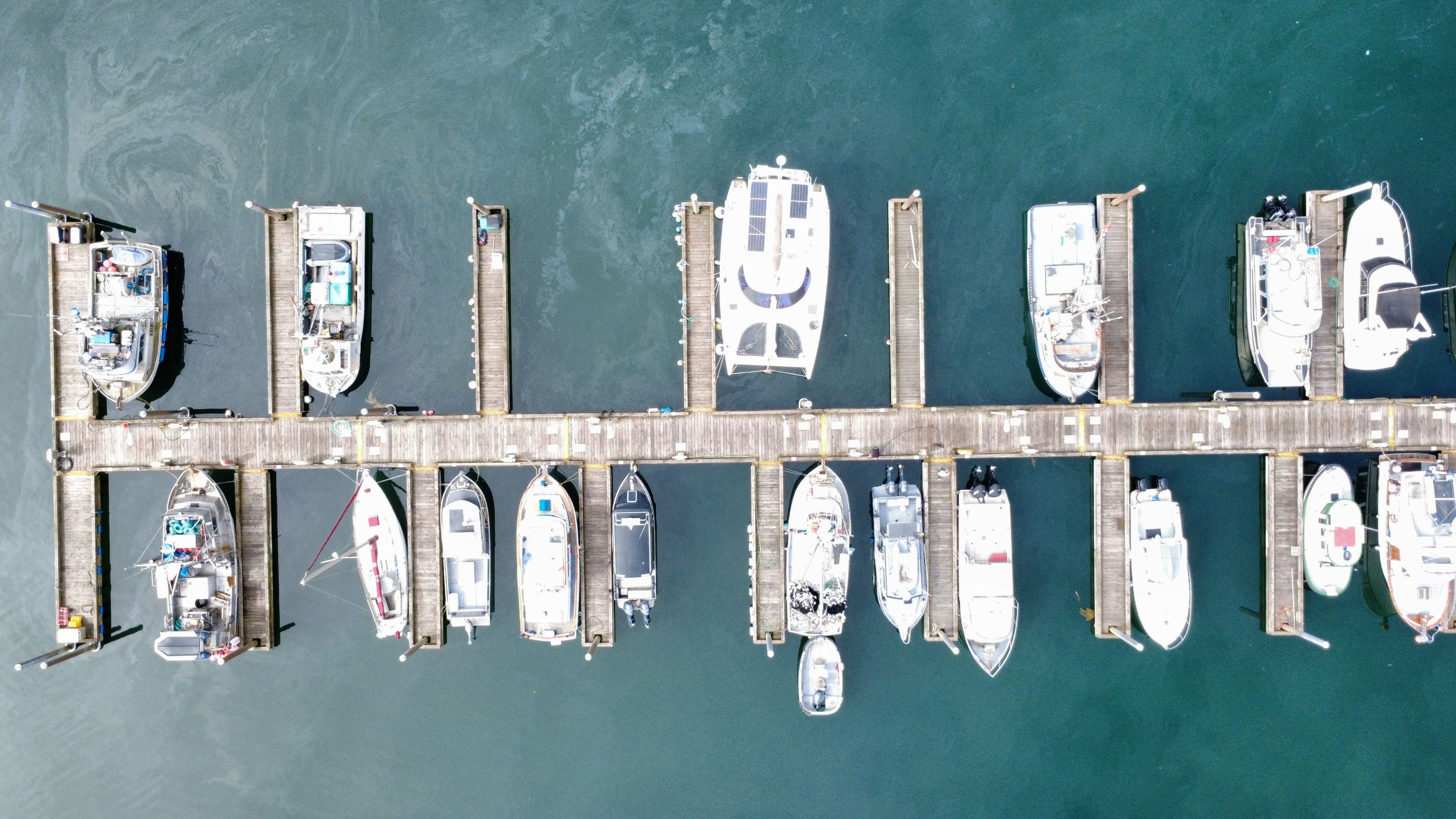 dji_fly_20250719_115656_280_1752955025083_photo_optimized.jpg