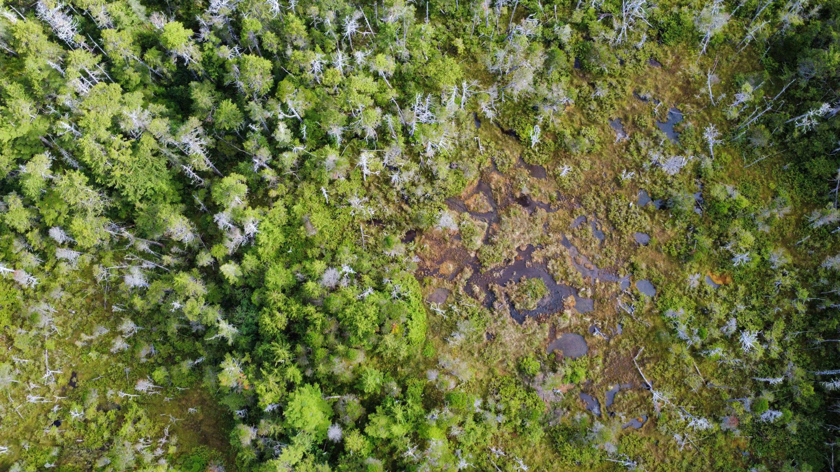 dji_fly_20250823_100812_664_1755972658214_photo_optimized.jpg