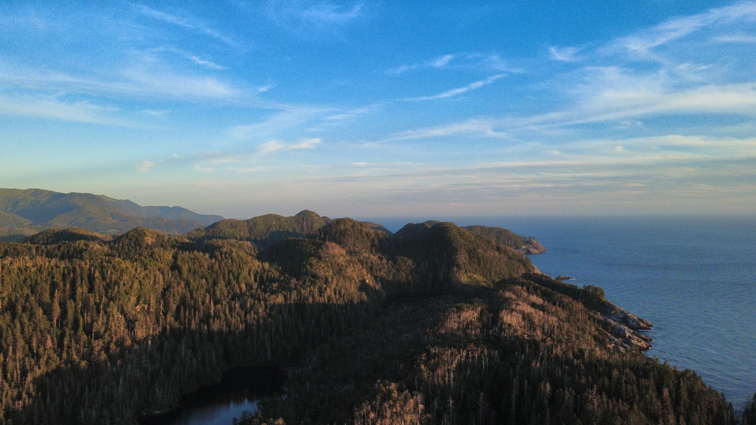 dji_fly_20250825_194506_714_1756179940519_photo_optimized.jpg