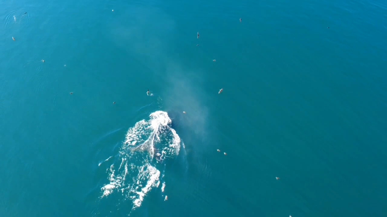 VideoCapture_20250910-172430.jpg