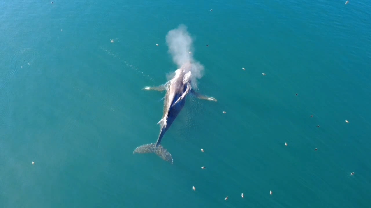 VideoCapture_20250910-172418.jpg