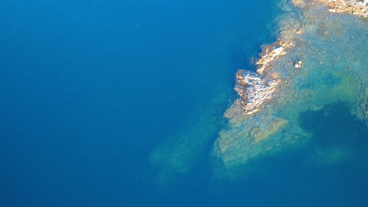 VideoCapture_20250817-105232.jpg