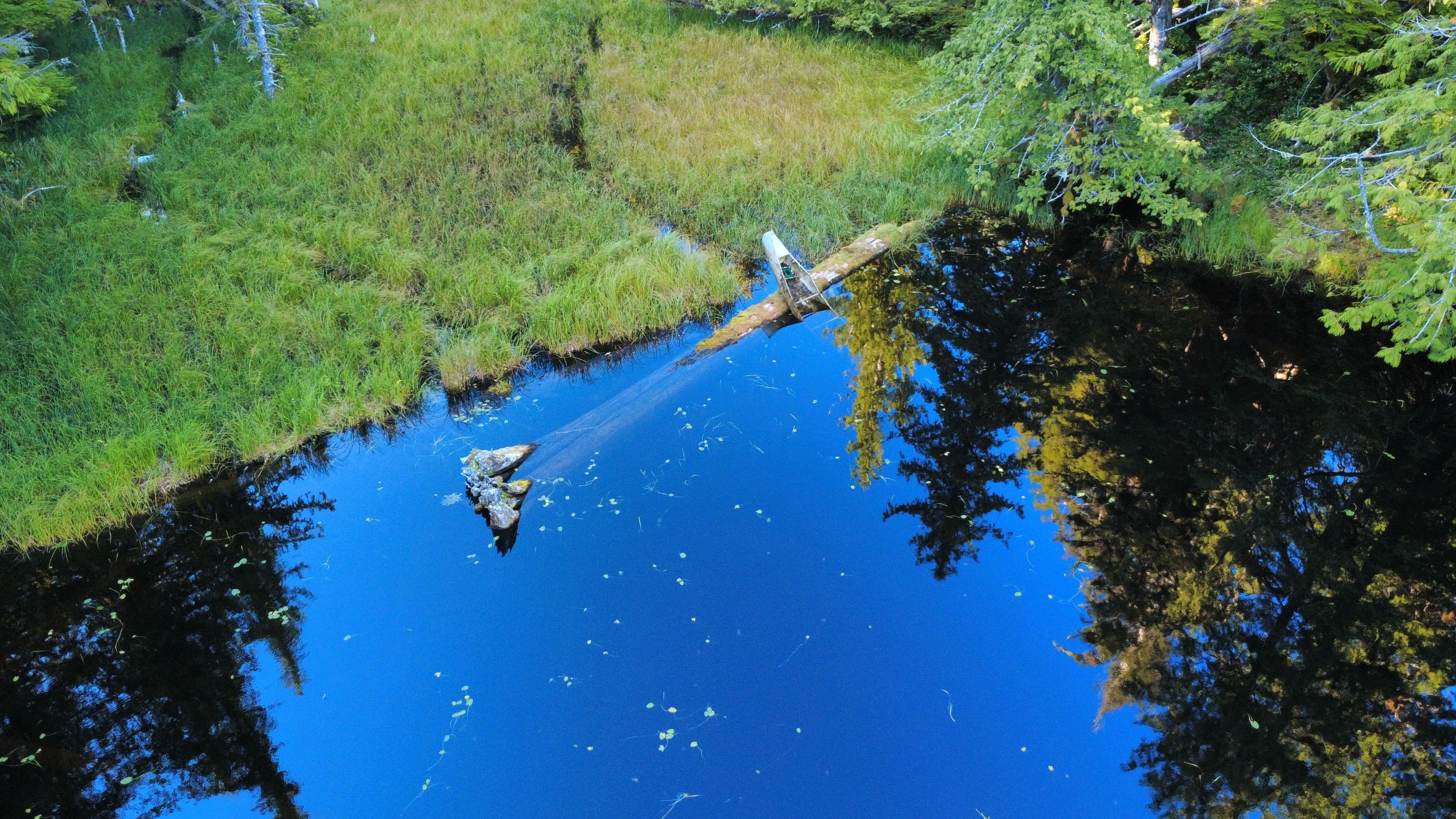 dji_fly_20250829_171002_770_1756516225988_photo_optimized.jpg