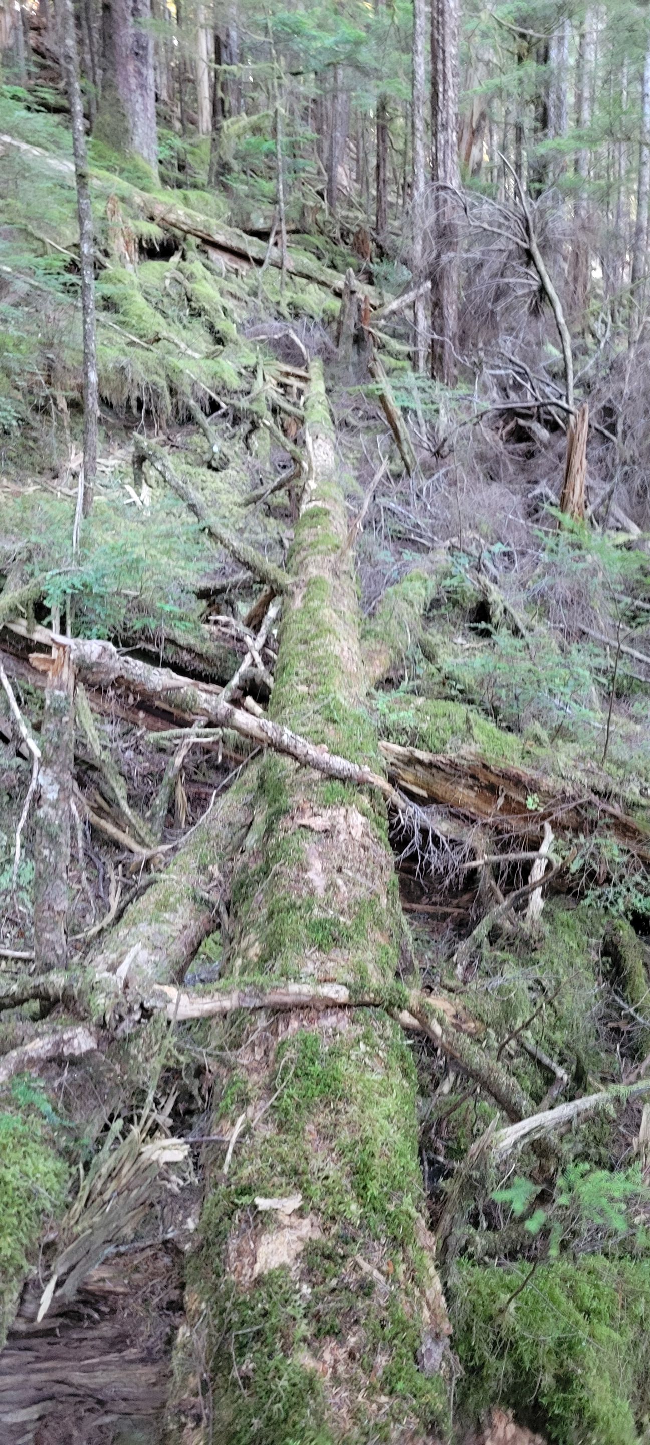20250829_175206.jpg