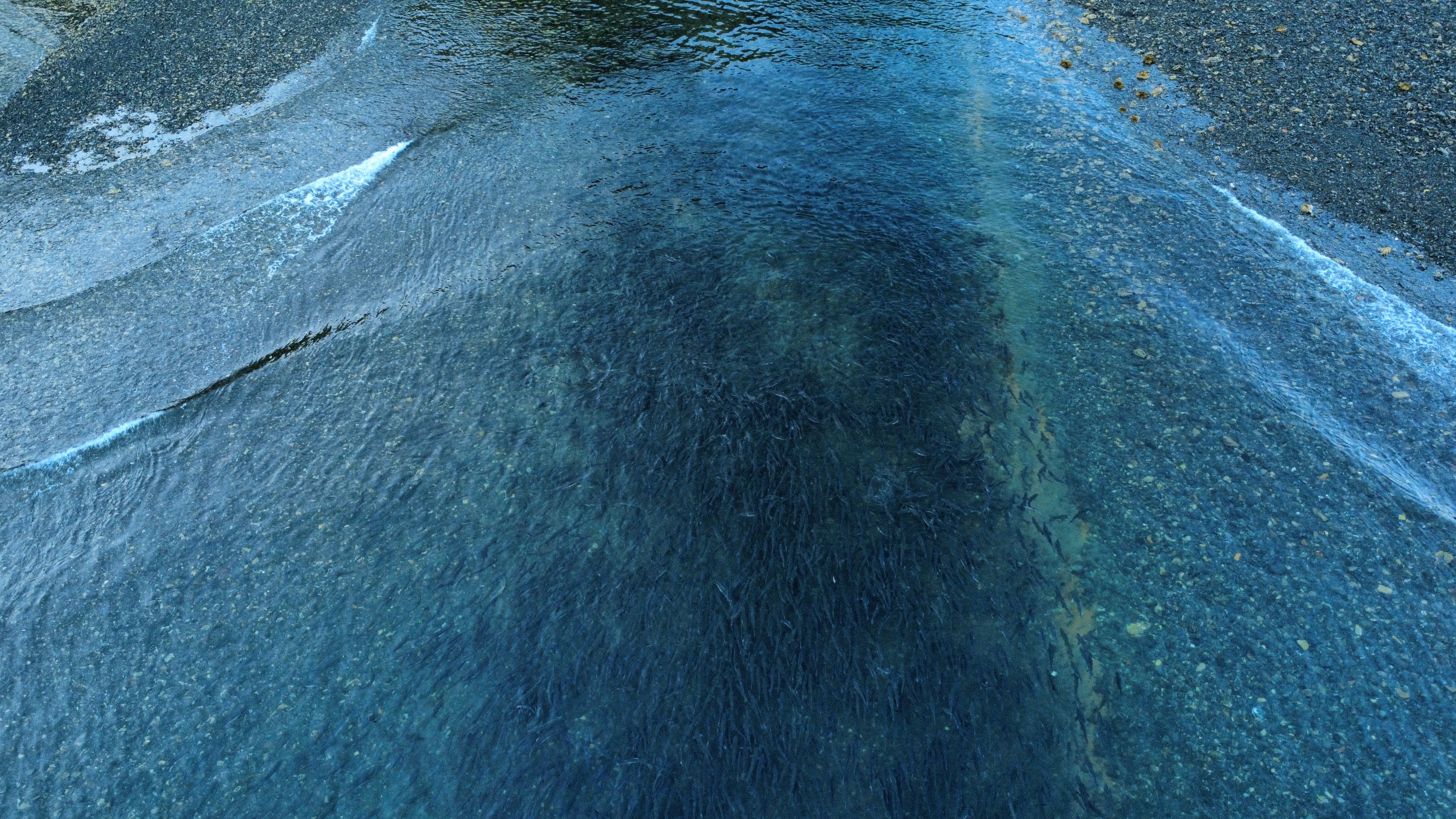 dji_fly_20250823_194612_689_1756007266258_photo_optimized.jpg