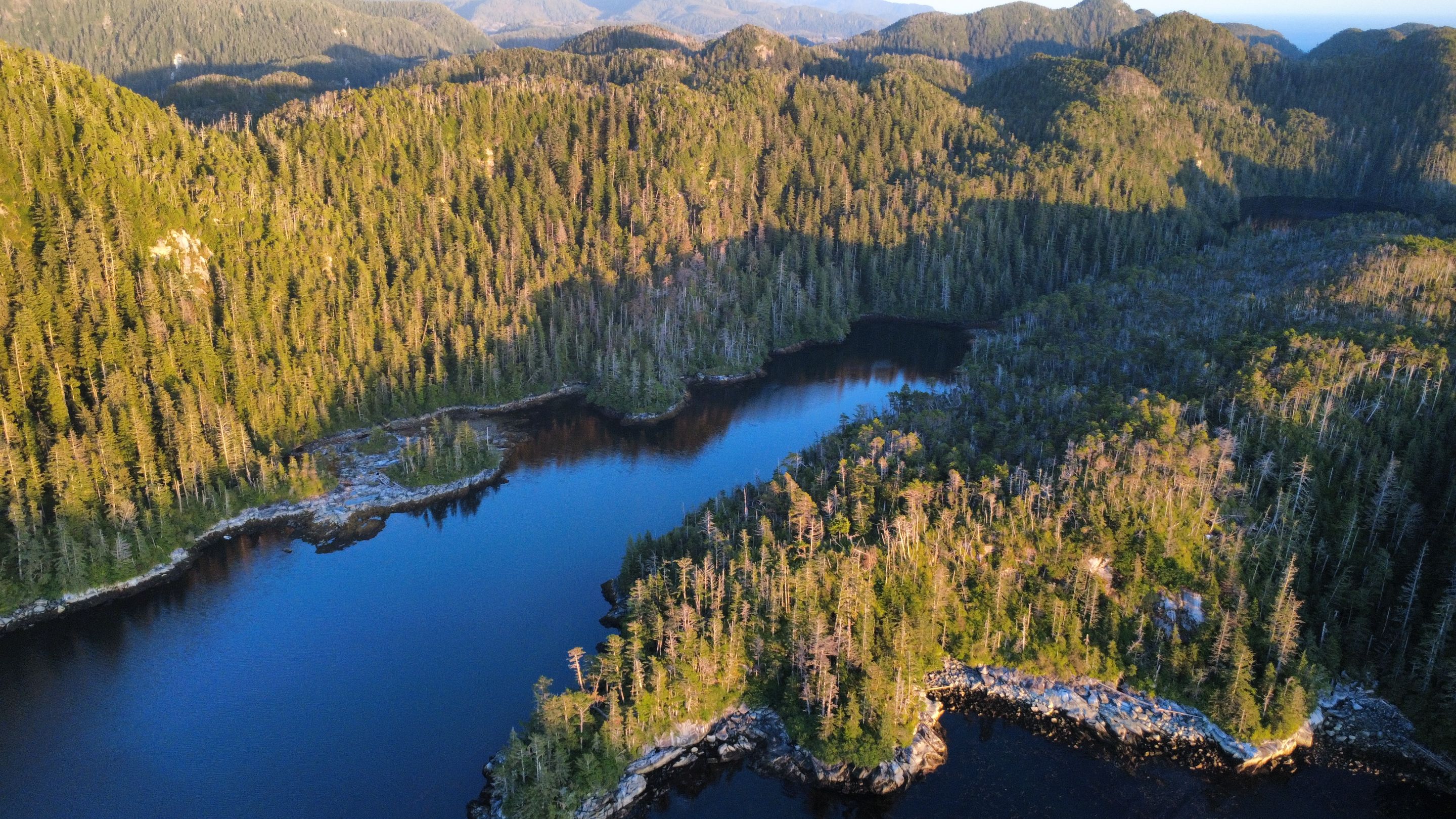 dji_fly_20250825_194518_715_1756179960373_photo_optimized.jpg
