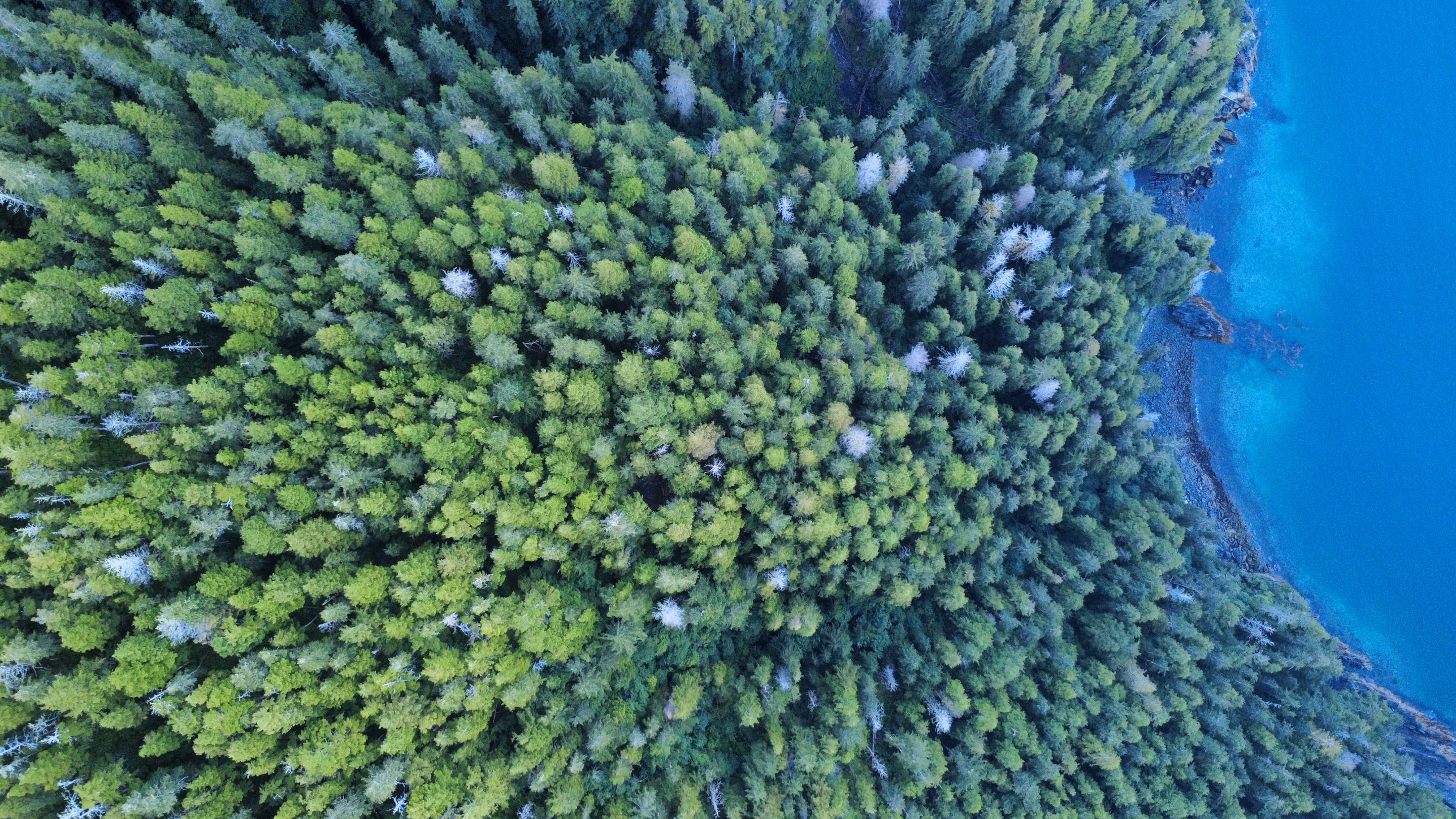 dji_fly_20250823_193948_680_1756006878343_photo_optimized.jpg