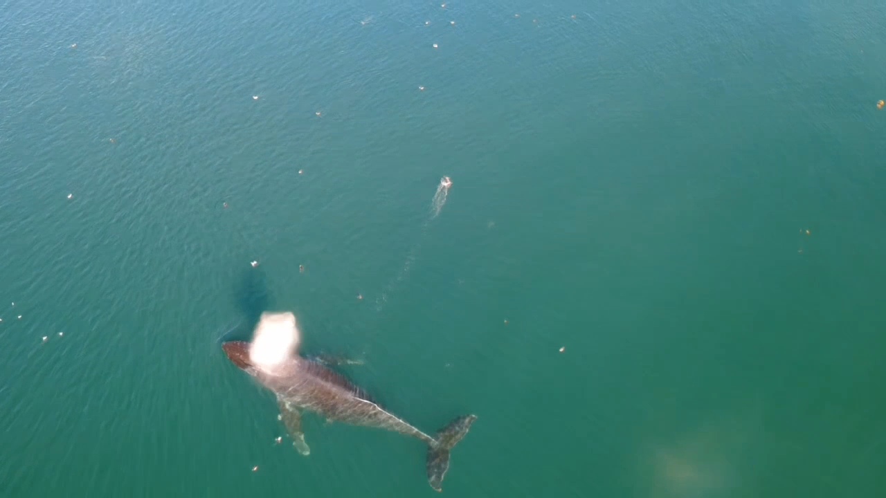 VideoCapture_20250910-172322.jpg