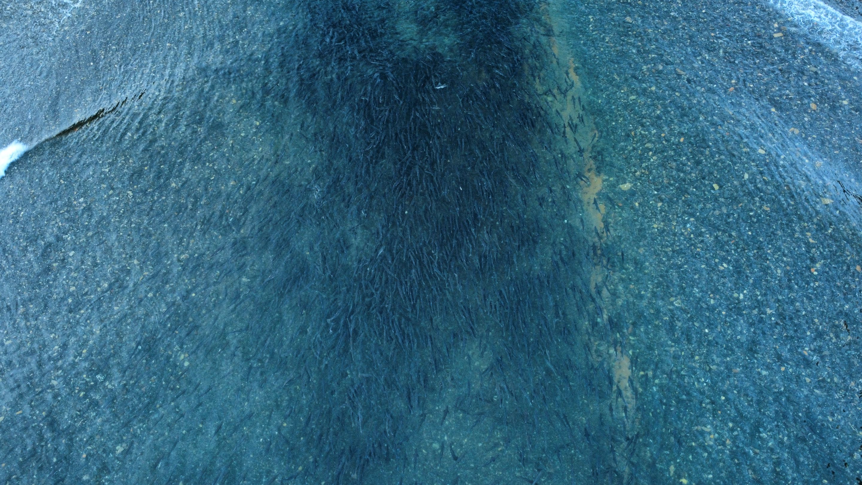 dji_fly_20250823_194608_688_1756007254783_photo_optimized.jpg