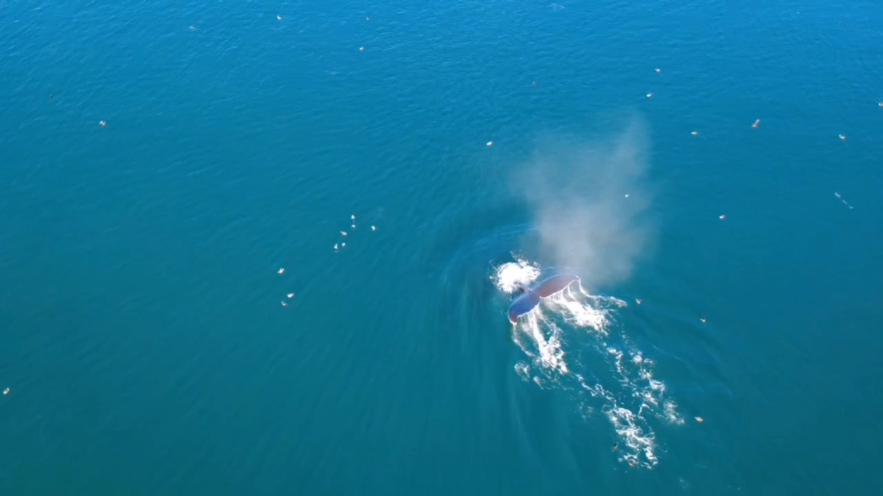 VideoCapture_20250910-172332.jpg
