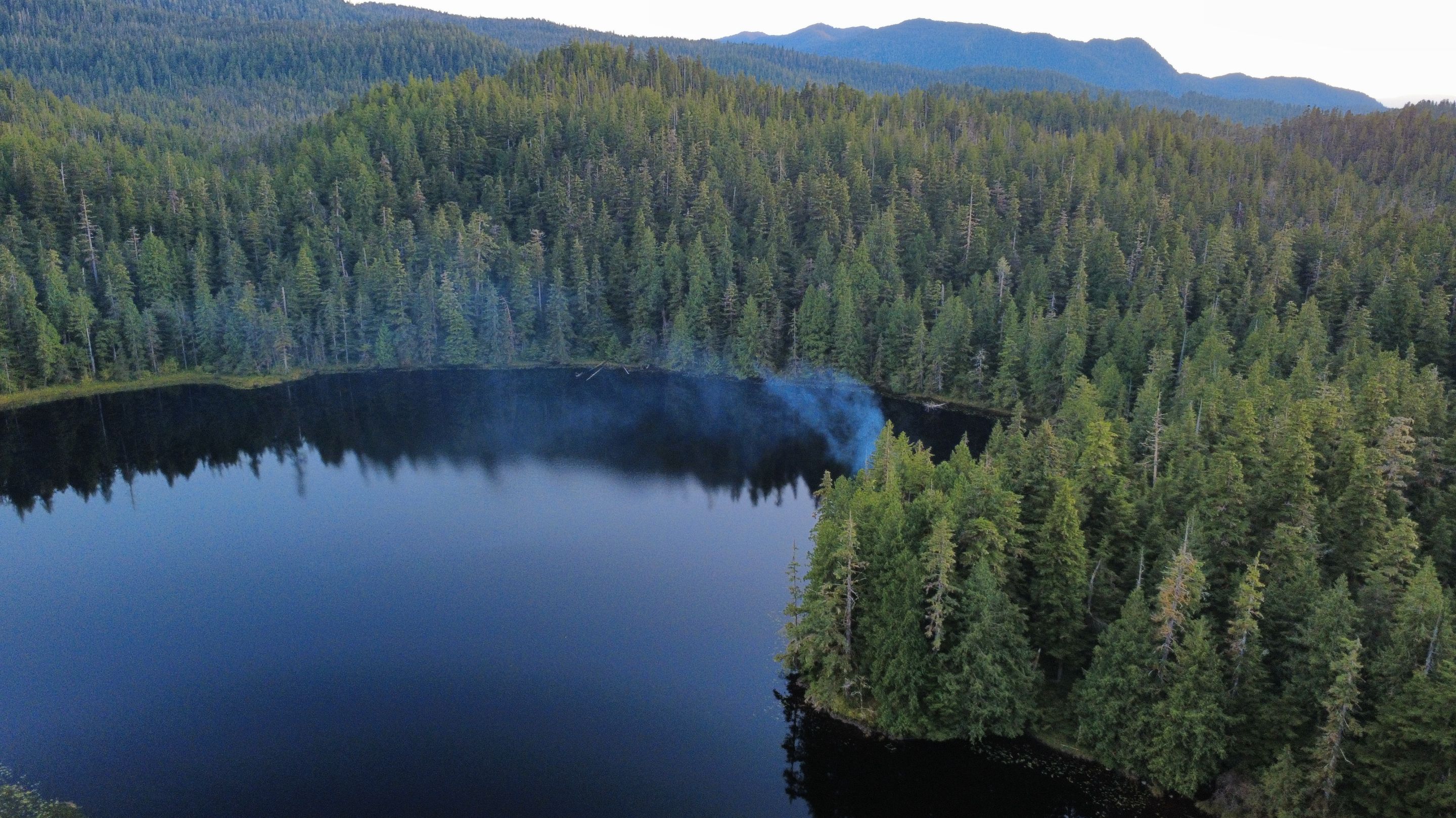 dji_fly_20250828_194642_758_1756439254096_photo_optimized.jpg