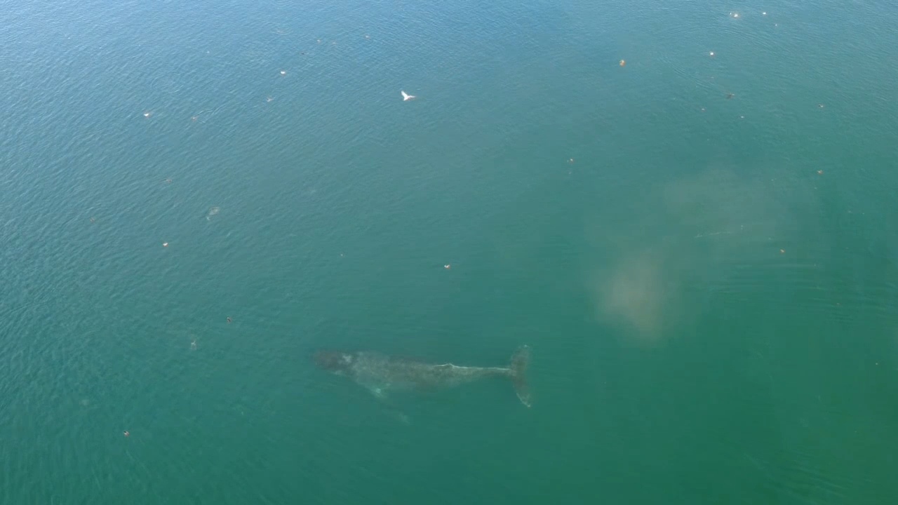 VideoCapture_20250910-172311.jpg