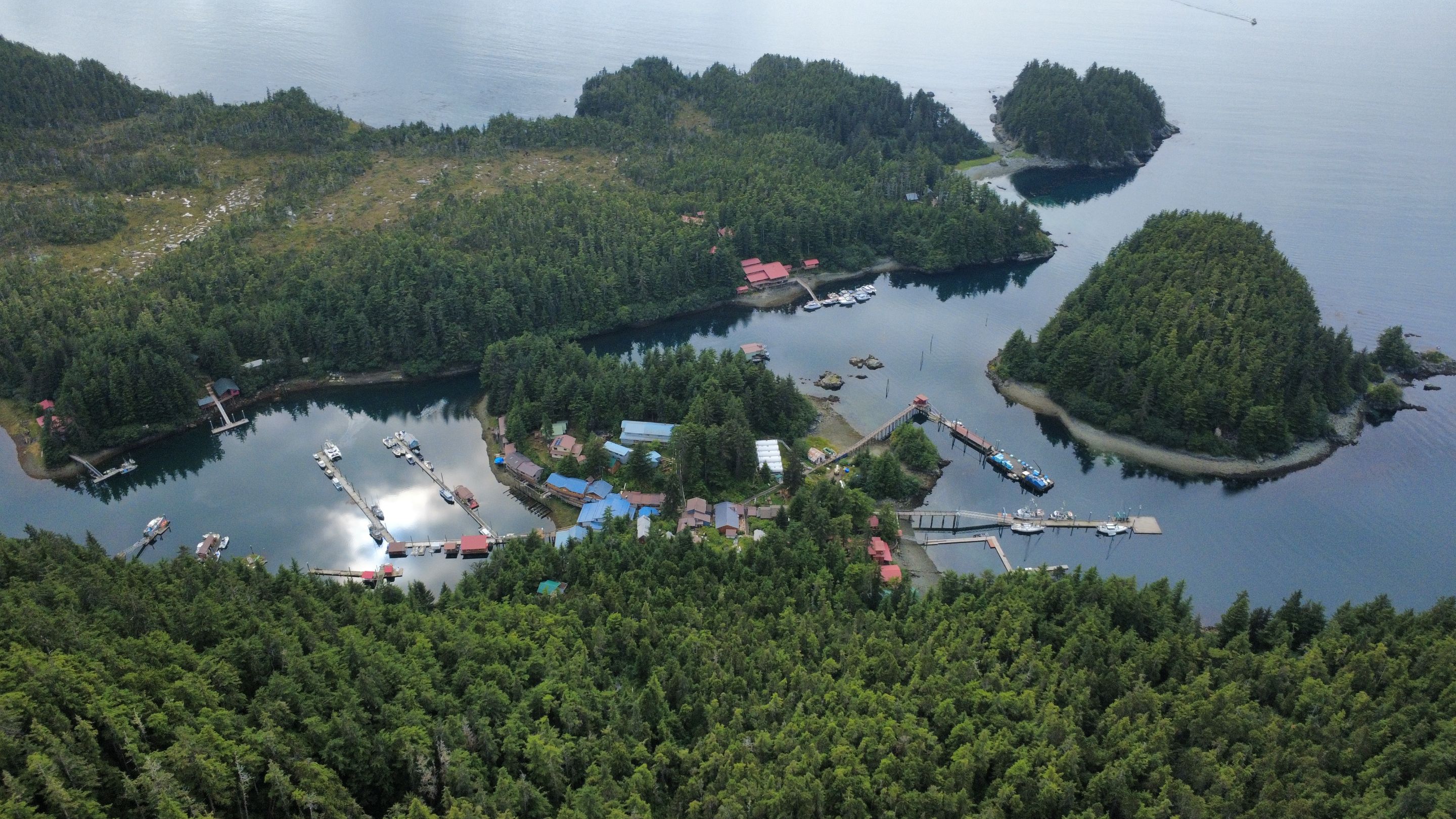 dji_fly_20250820_150826_641_1755731382645_photo_optimized.jpg