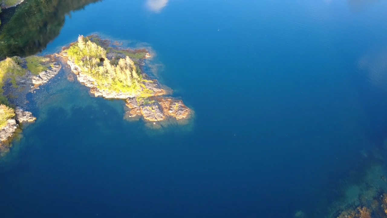 VideoCapture_20250817-105243.jpg