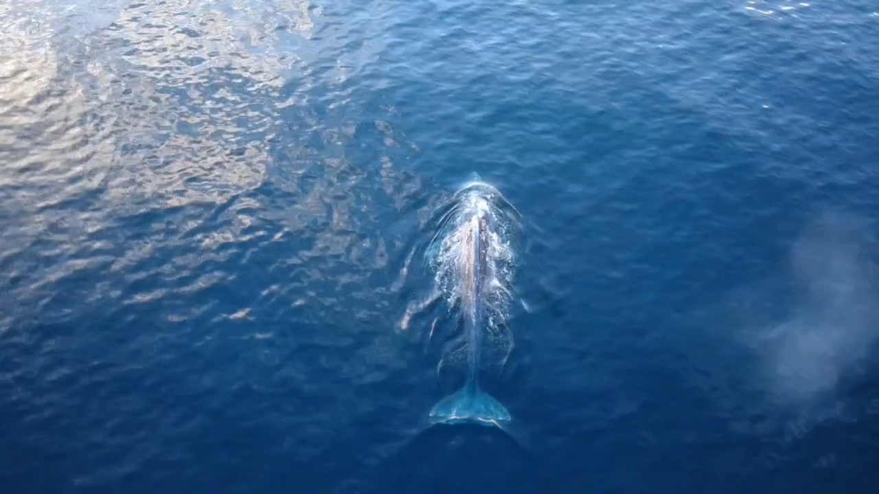 VideoCapture_20250810-120148.jpg