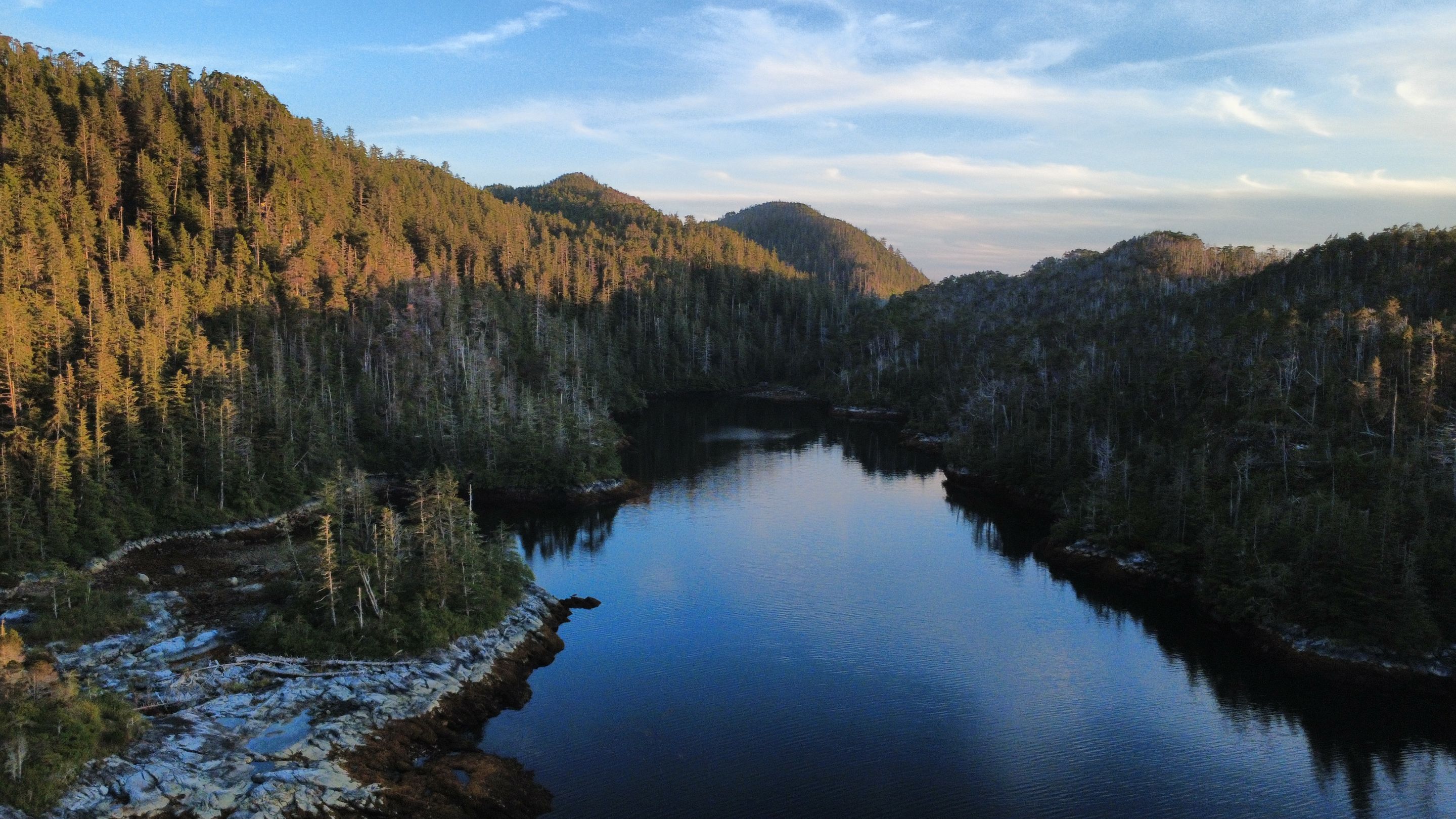 dji_fly_20250825_194758_719_1756180773249_photo_optimized.jpg