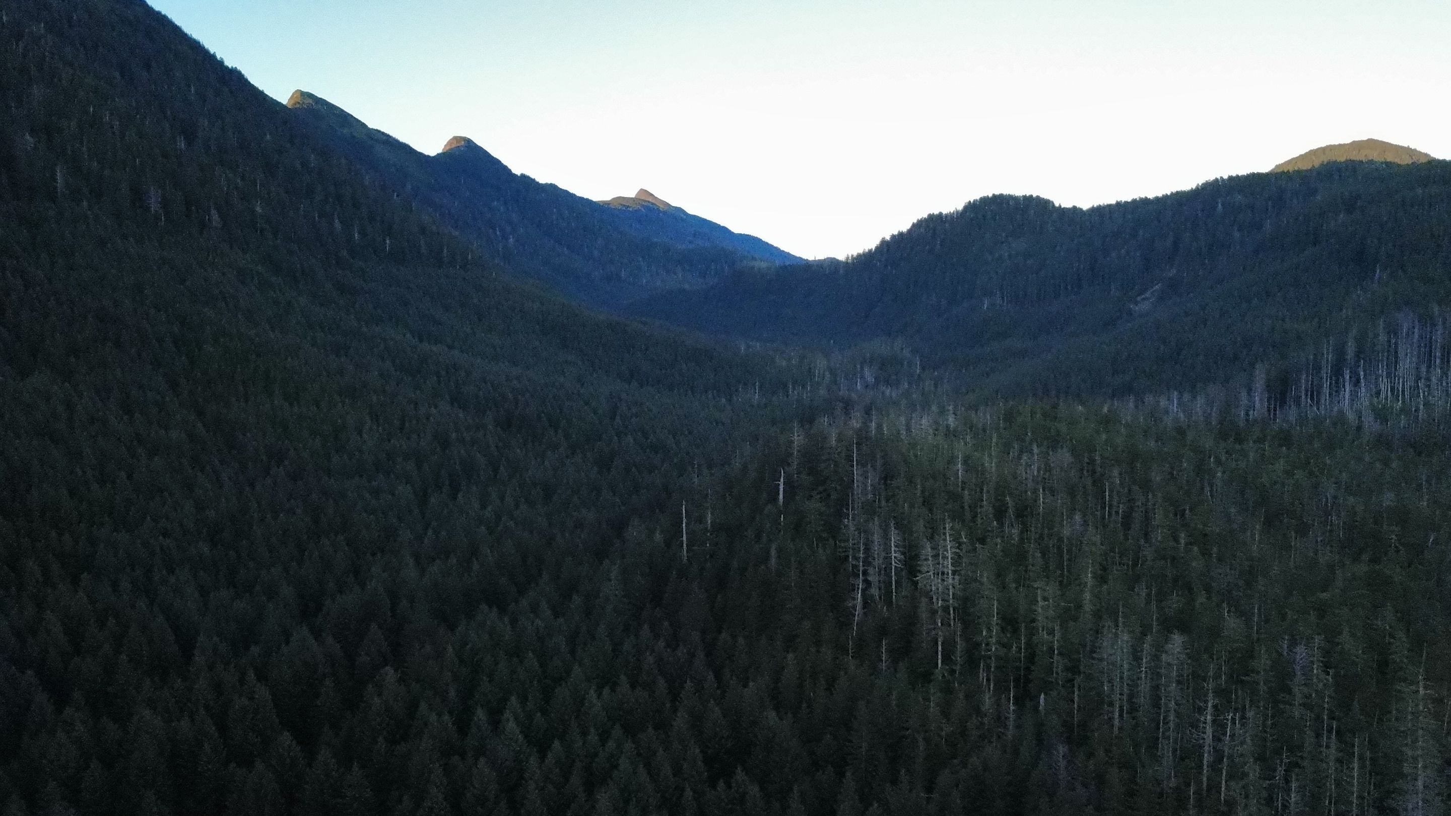 dji_fly_20250823_194214_682_1756006987486_photo_optimized.jpg