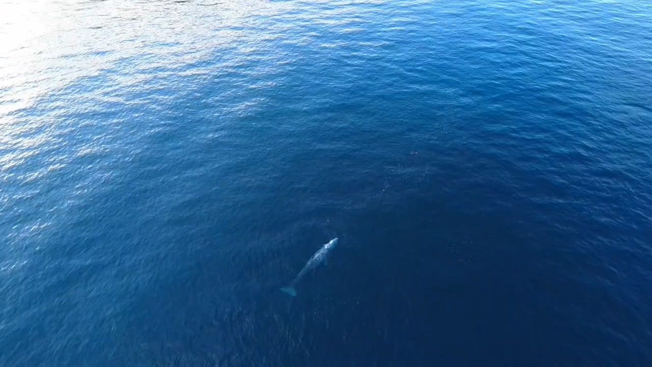 VideoCapture_20250810-120202.jpg