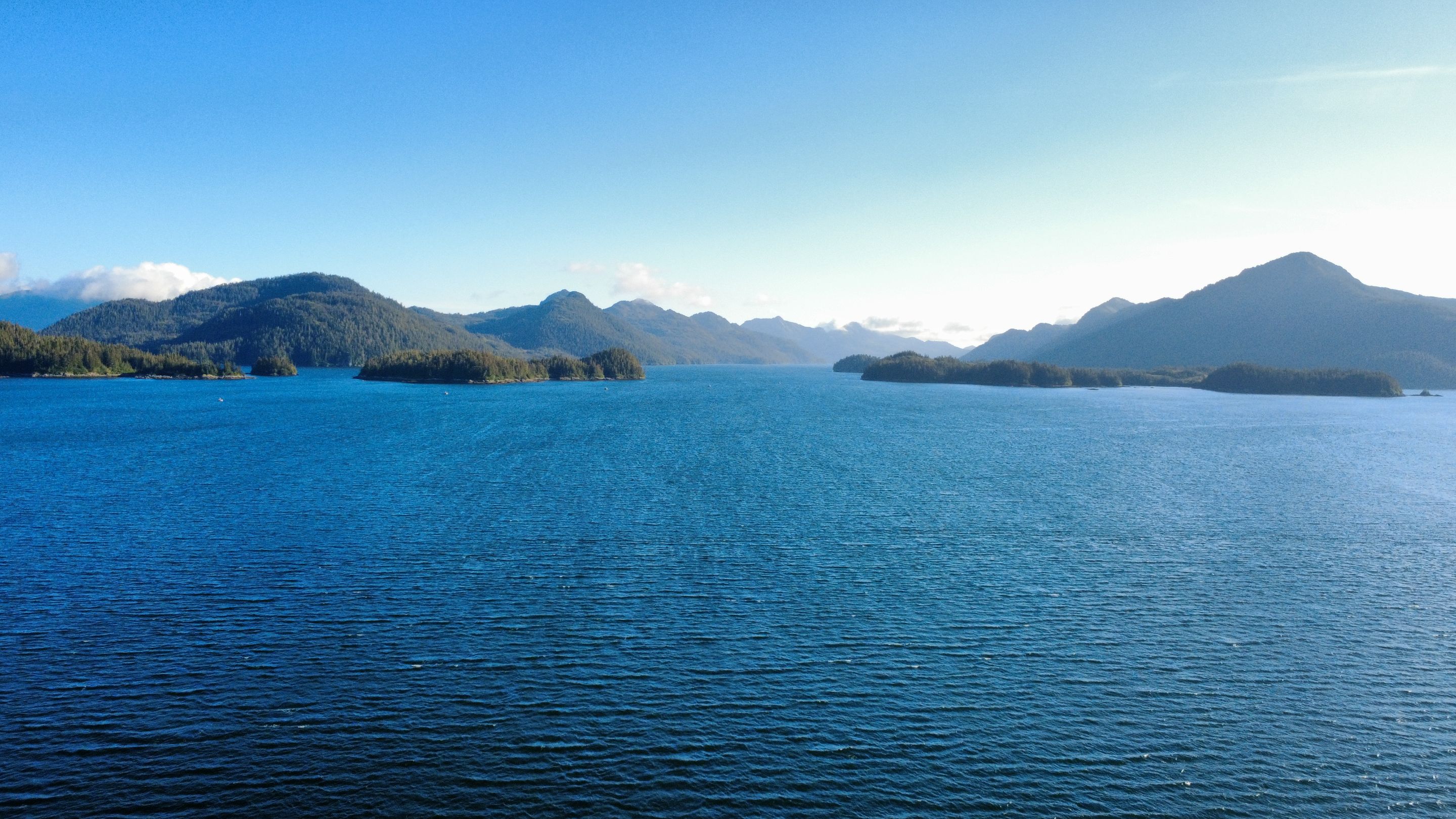 dji_fly_20250805_192102_493_1754450545231_photo_optimized.jpg