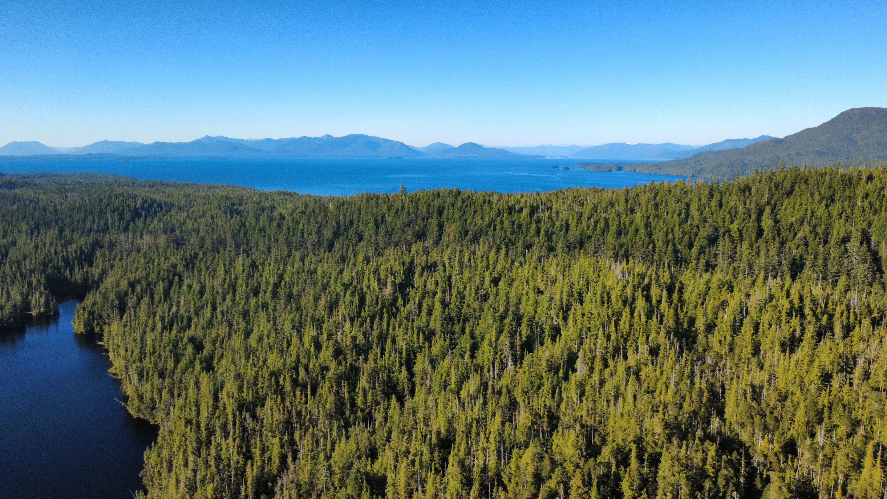 dji_fly_20250829_170730_766_1756516122274_photo_optimized.jpg