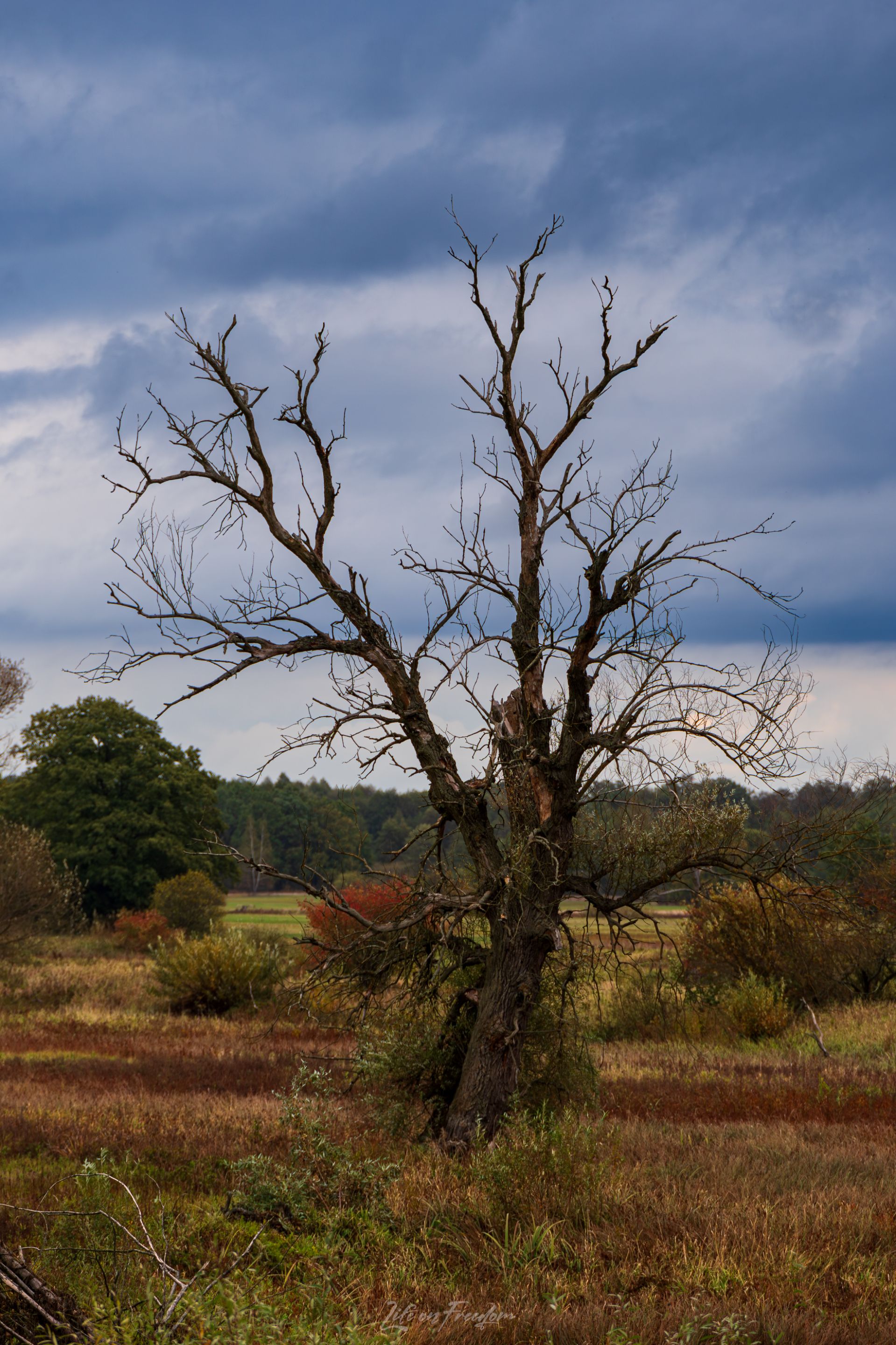 DSC05035-Poprawione-Szum.jpg