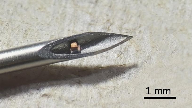 mote-on-needle-816.jpeg