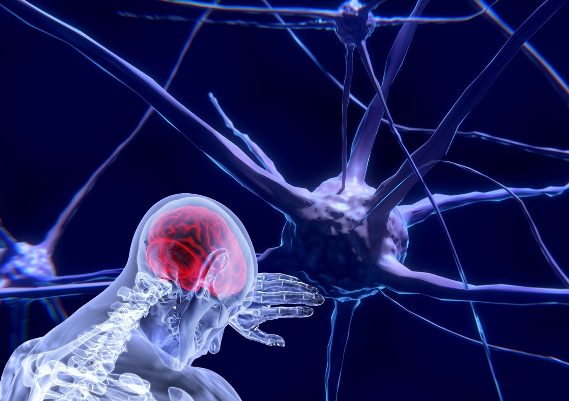 neurons3743011_1920.jpg