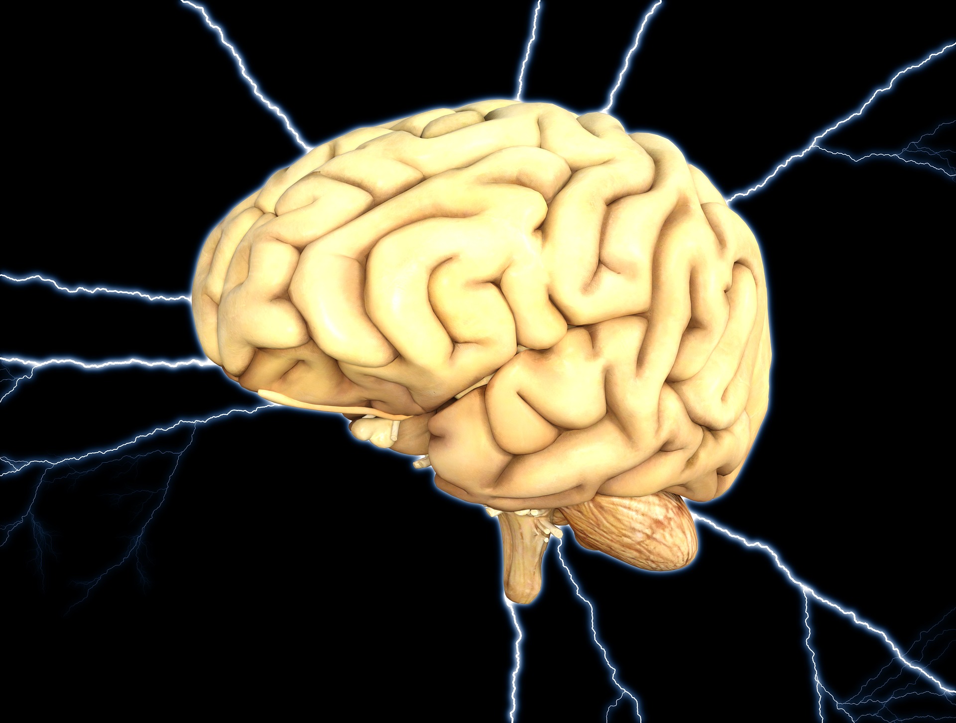 brain1845940_1920.jpg